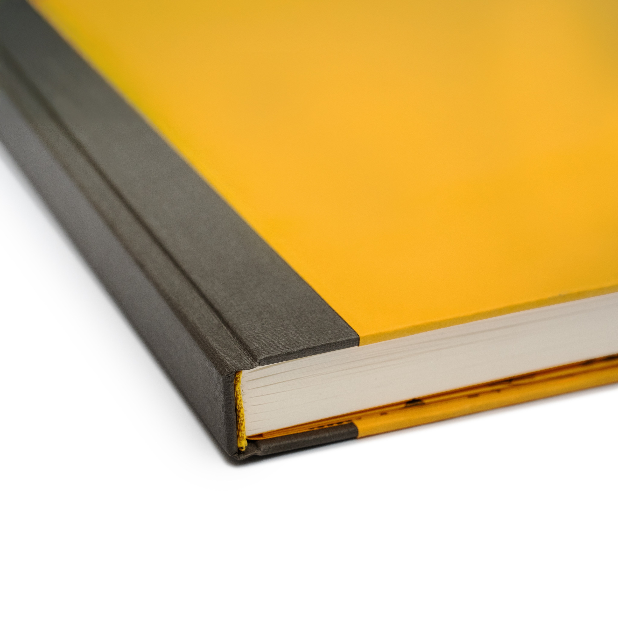 Планер. Фотограф из Москвы — DASHA NOVA | Авторская фотография в разных жанрах