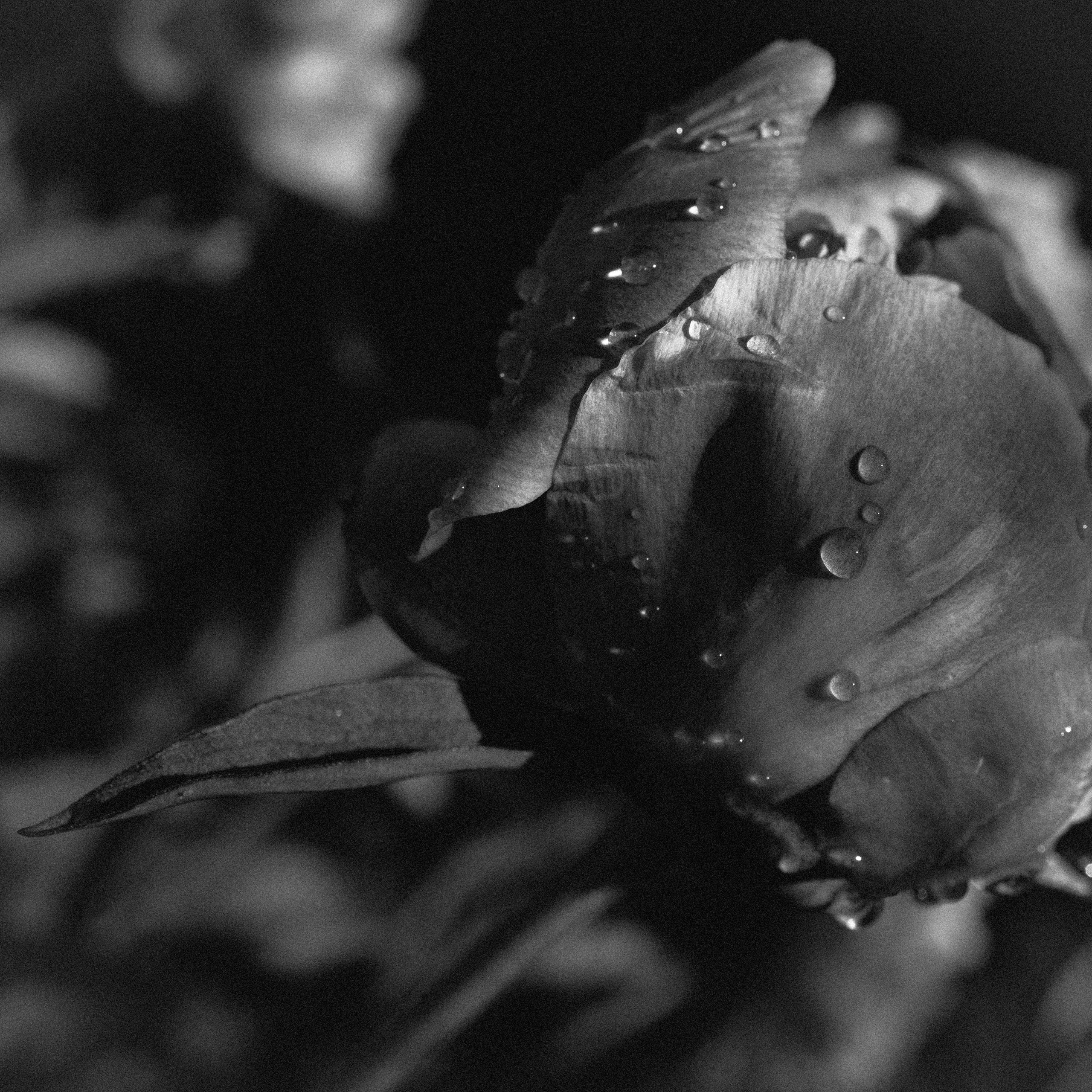 Price. Фотограф Юлия Польская