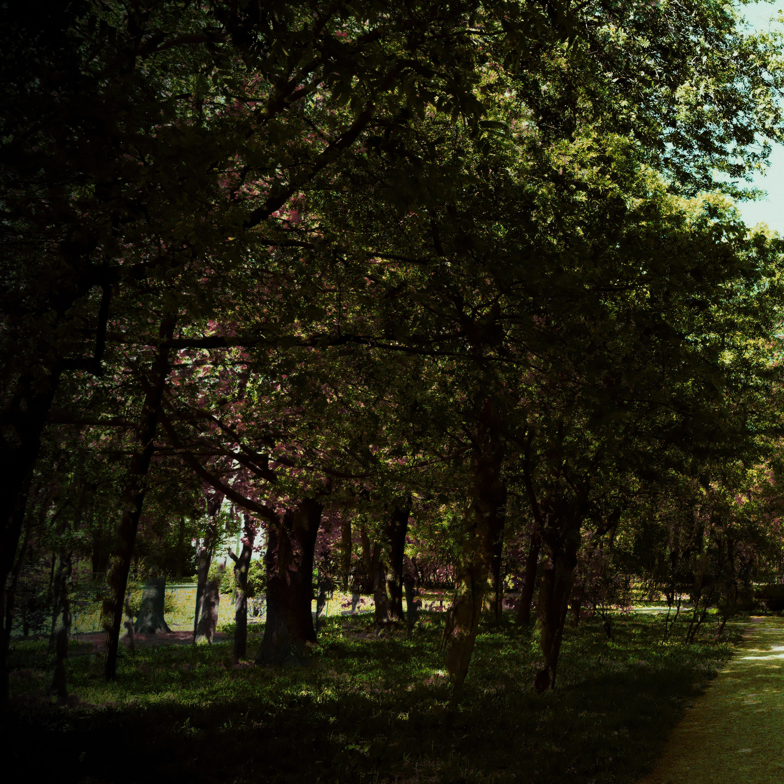 Глубина. Роман Ходырев — эзотериолог, художник, фотограф и музыкант. Санкт-Петербург, Рига