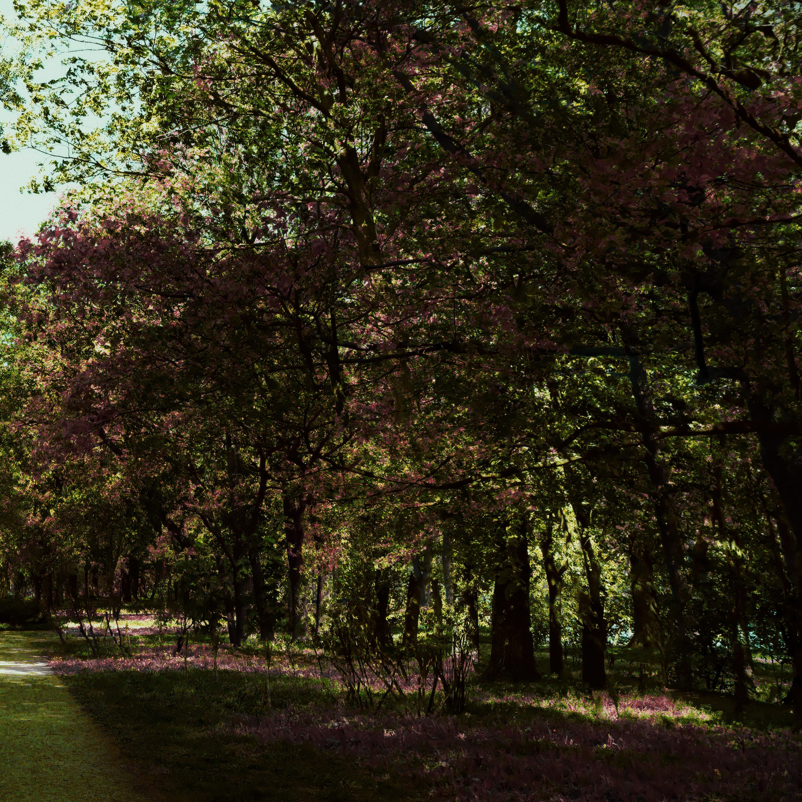 Глубина. Роман Ходырев — эзотериолог, художник, фотограф и музыкант. Санкт-Петербург, Рига