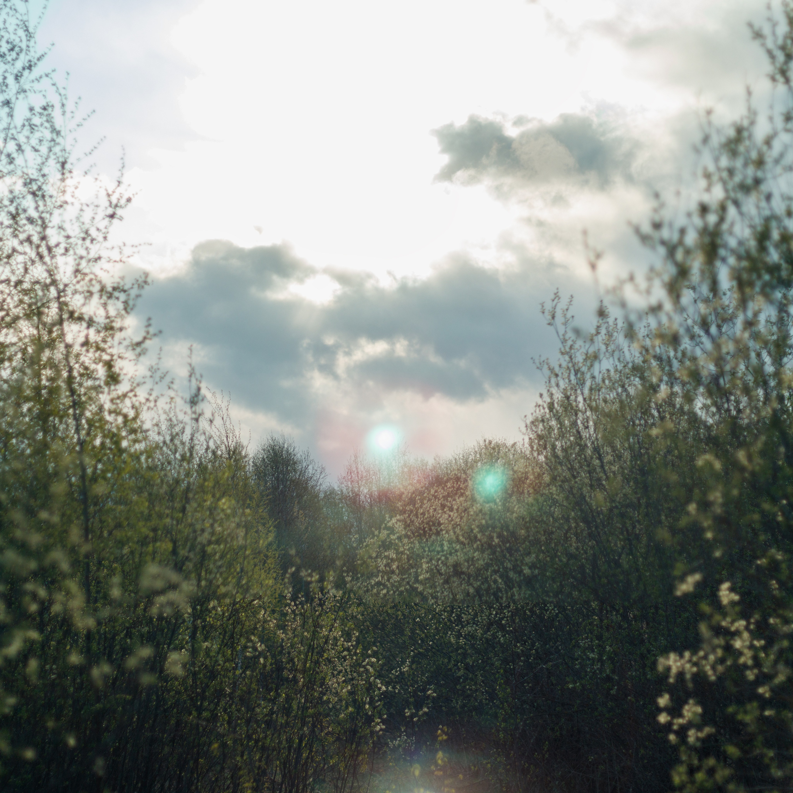 夏季在维什尼沃洛乔克 – 捕捉大自然四季的摄影系列