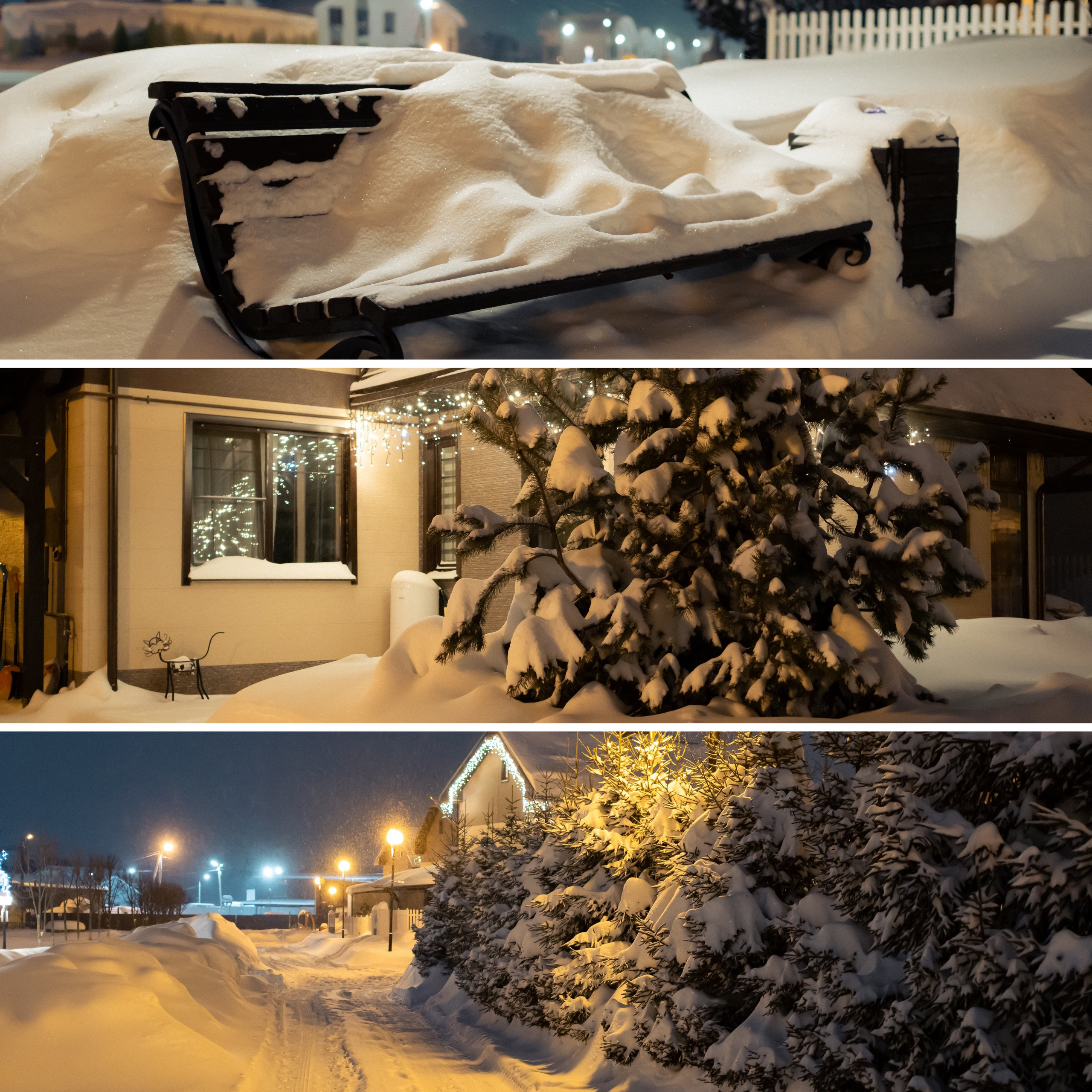 Фотограф Николай Шевченко