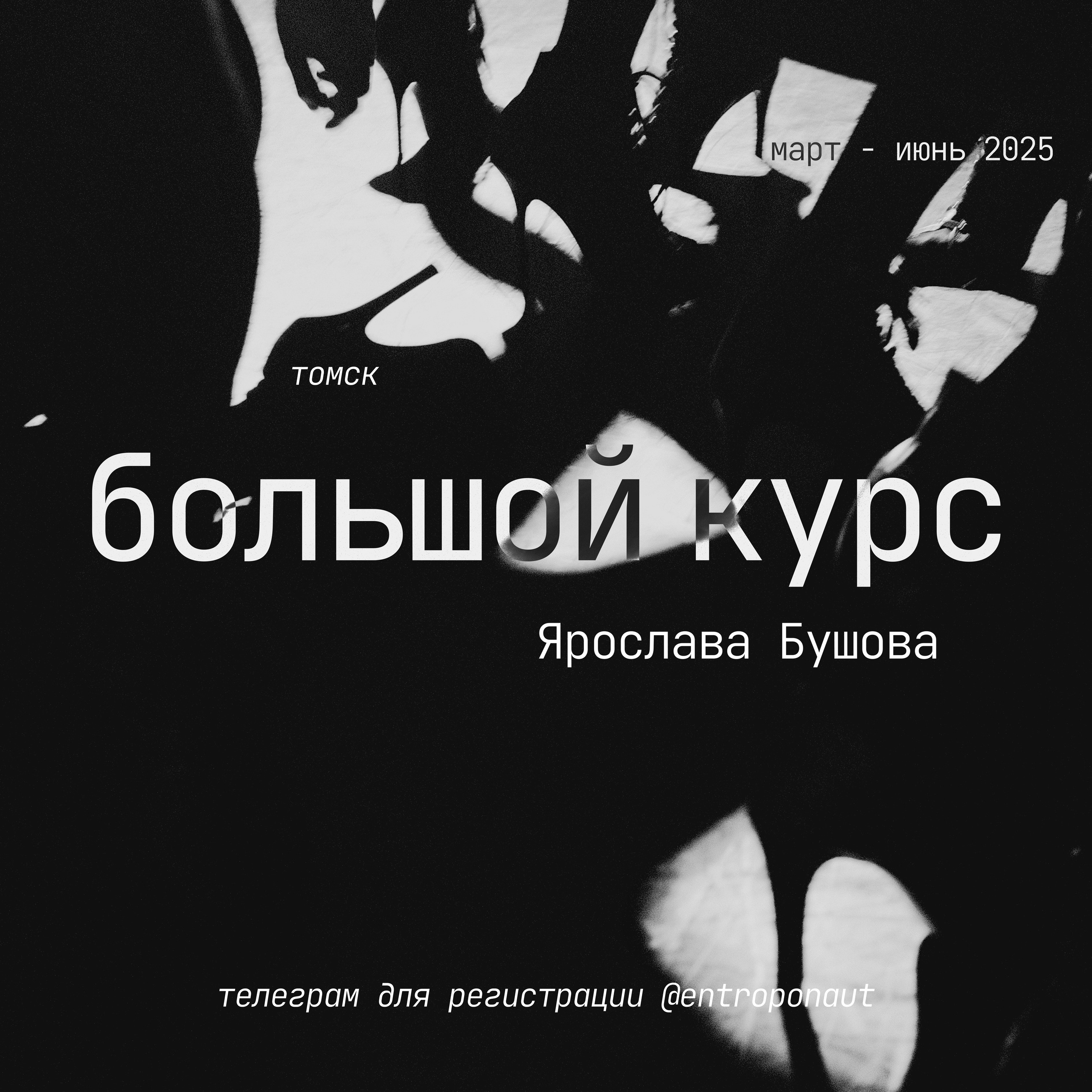 Ярослав Бушов. Shyjungle's Portfolio