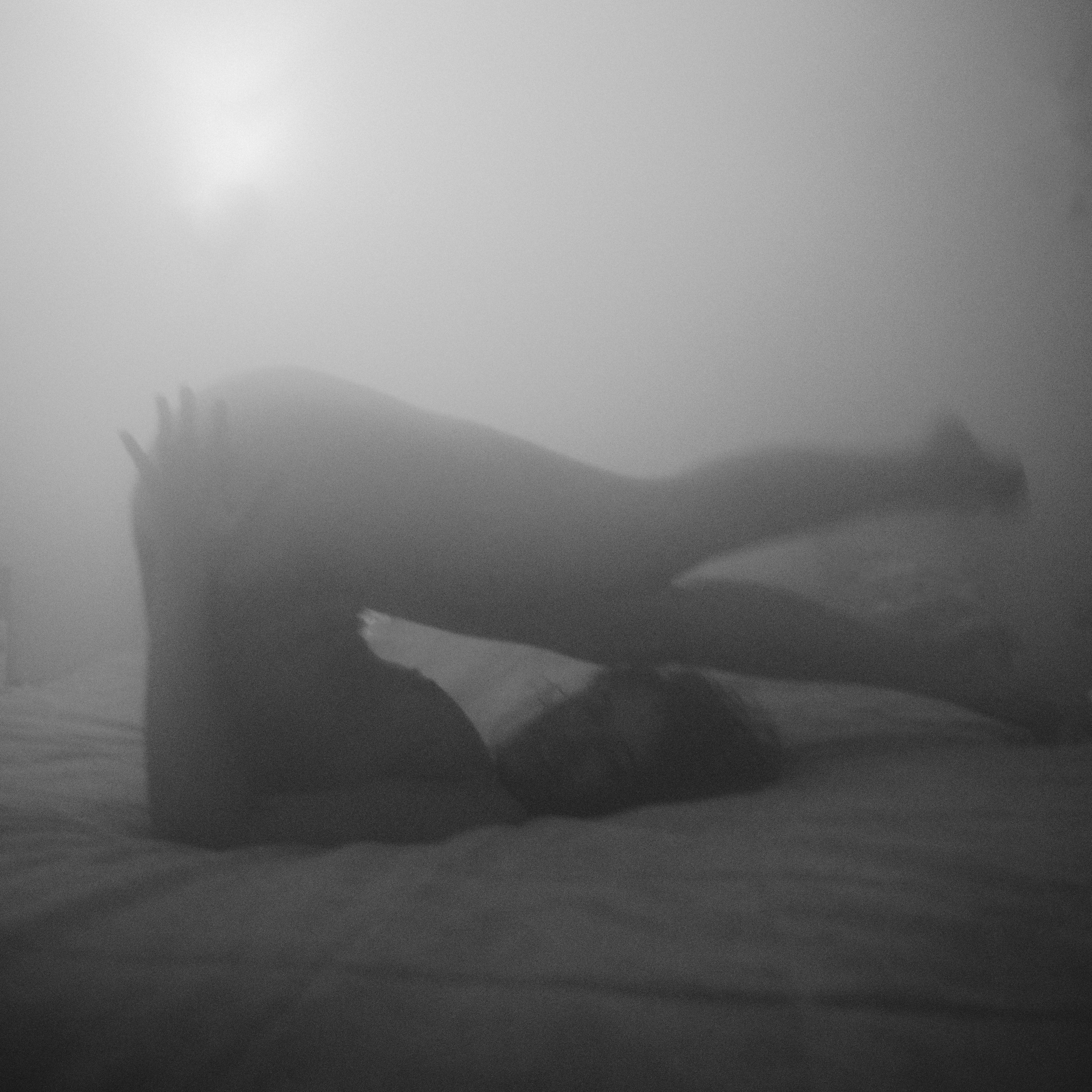 VISUAL ARTIST · KRONGAUZ ANASTASIA