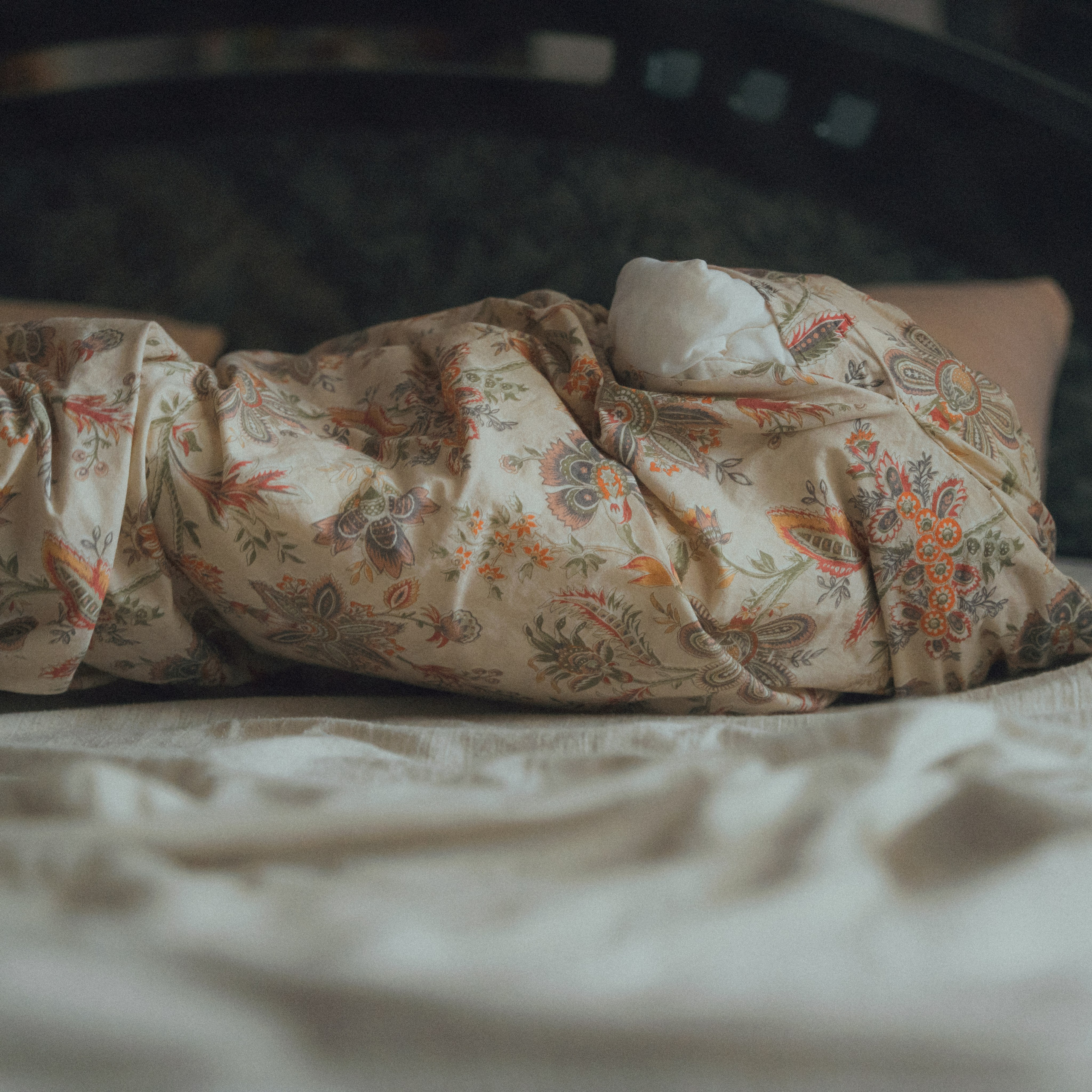 VISUAL ARTIST · KRONGAUZ ANASTASIA