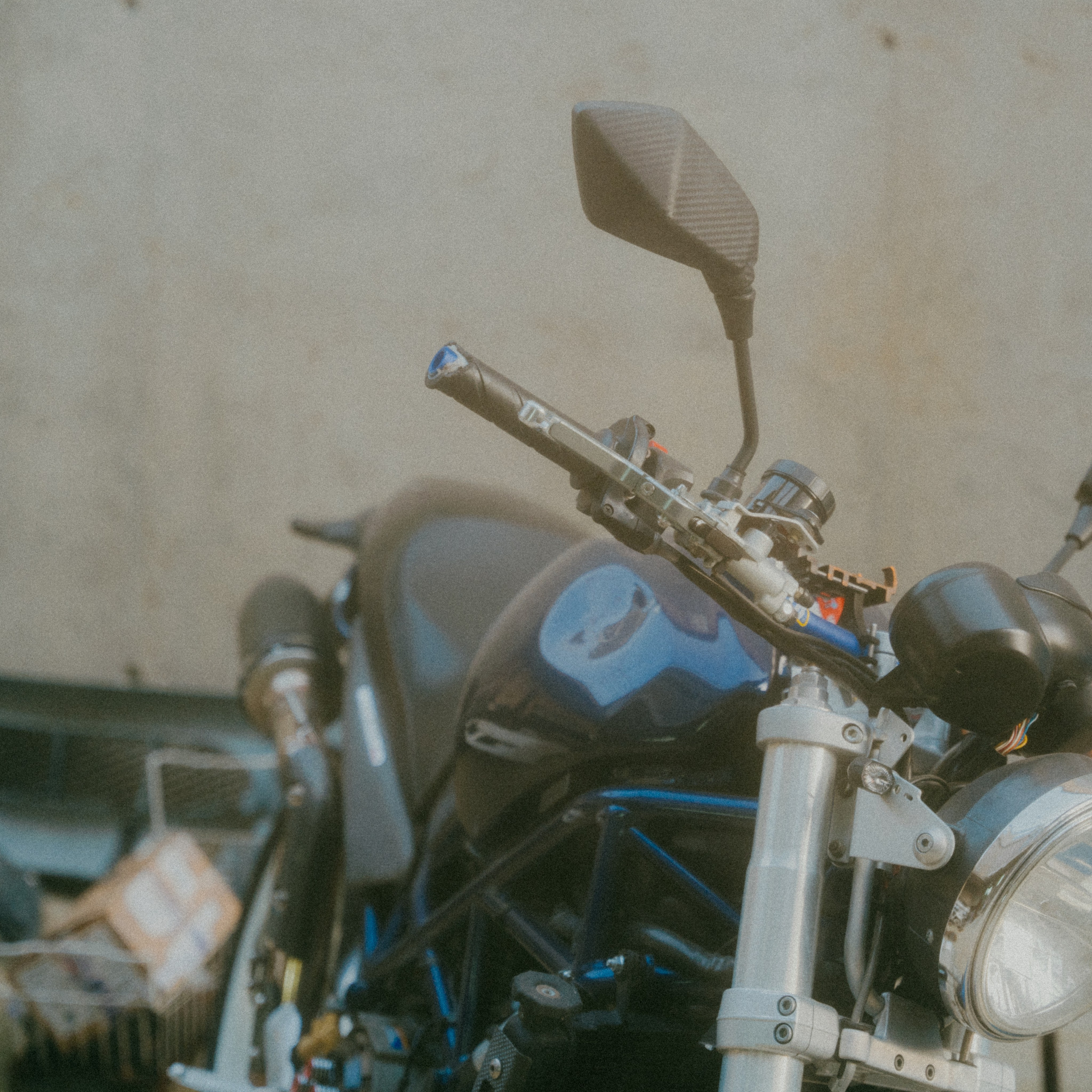 VISUAL ARTIST · KRONGAUZ ANASTASIA