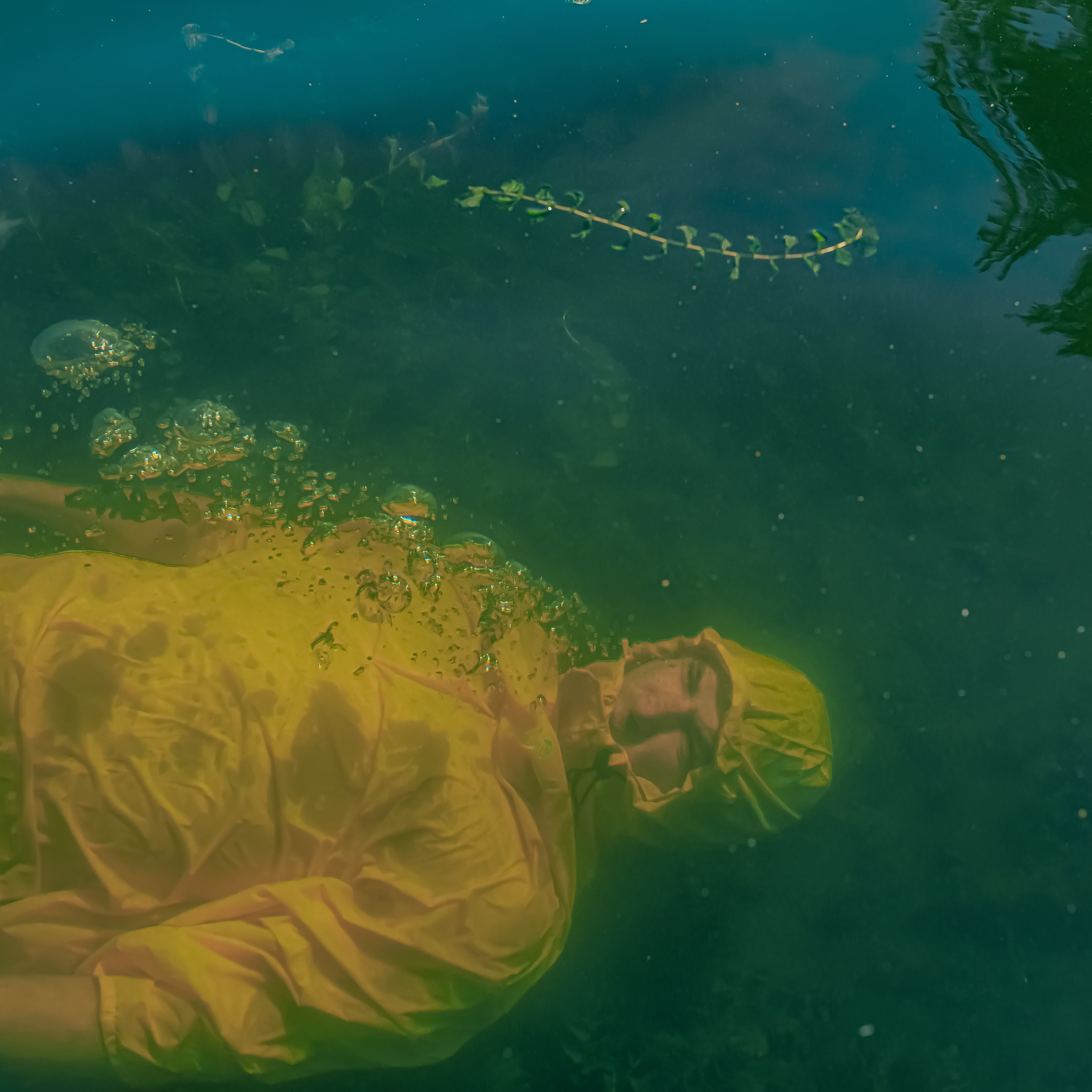 Услуги. Фотограф Минск