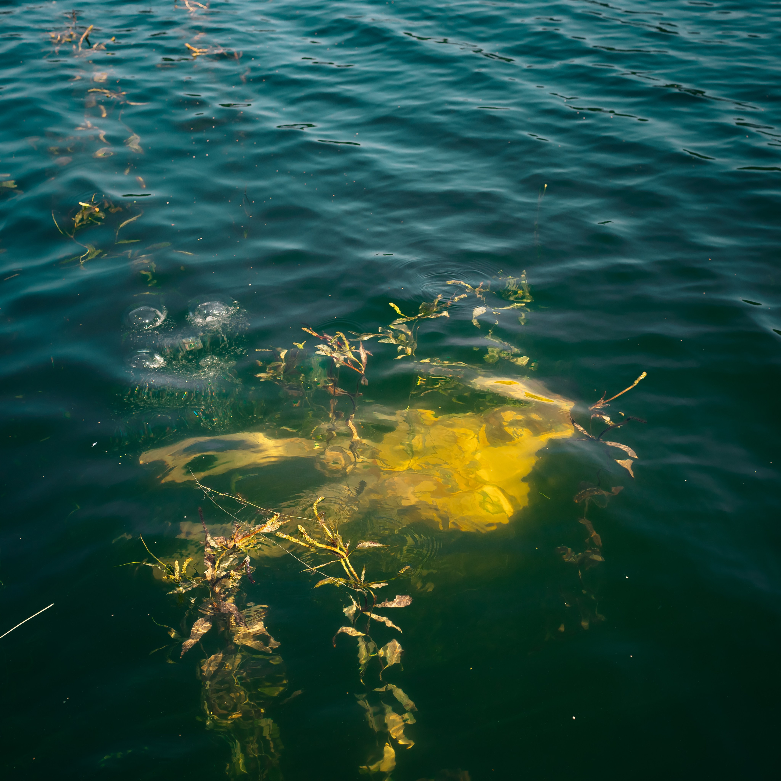 Услуги. Фотограф Минск
