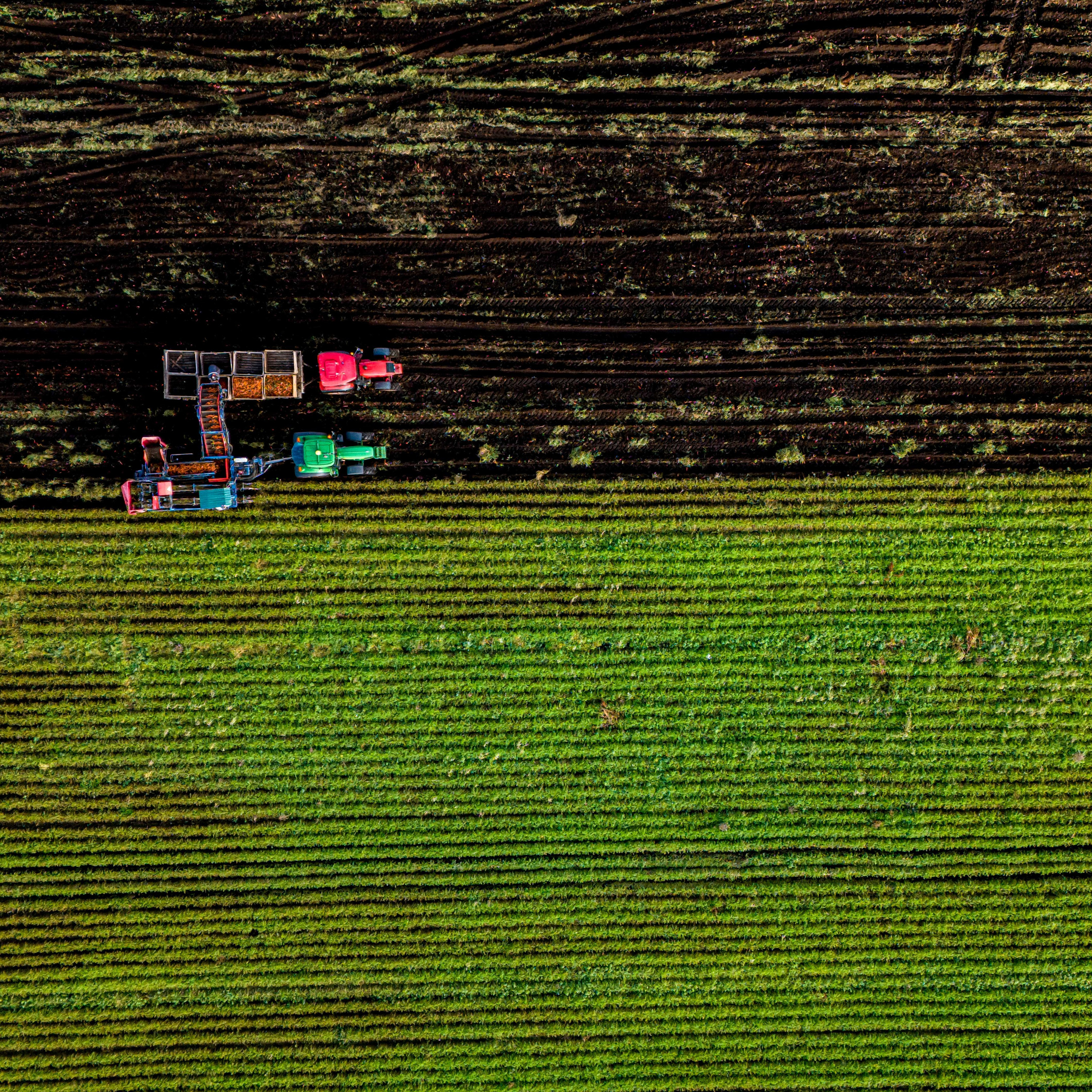 Аэросъемка. Студия визуального контента в Санкт-Петербурге и Москве