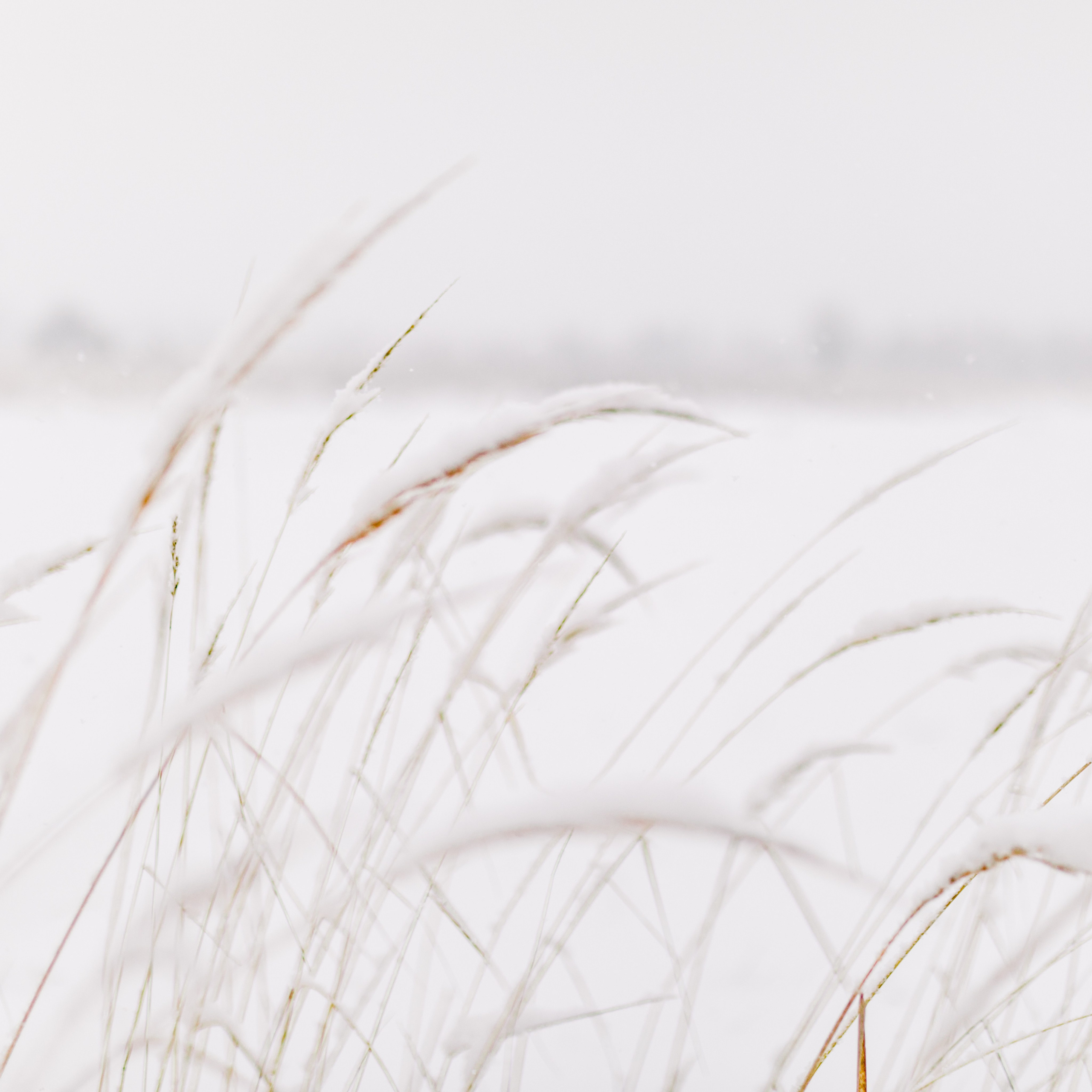 выставка 2025, выставка фотографии, выставка 2026, выставка зимней фотографии, выставка москва, фотовыставка