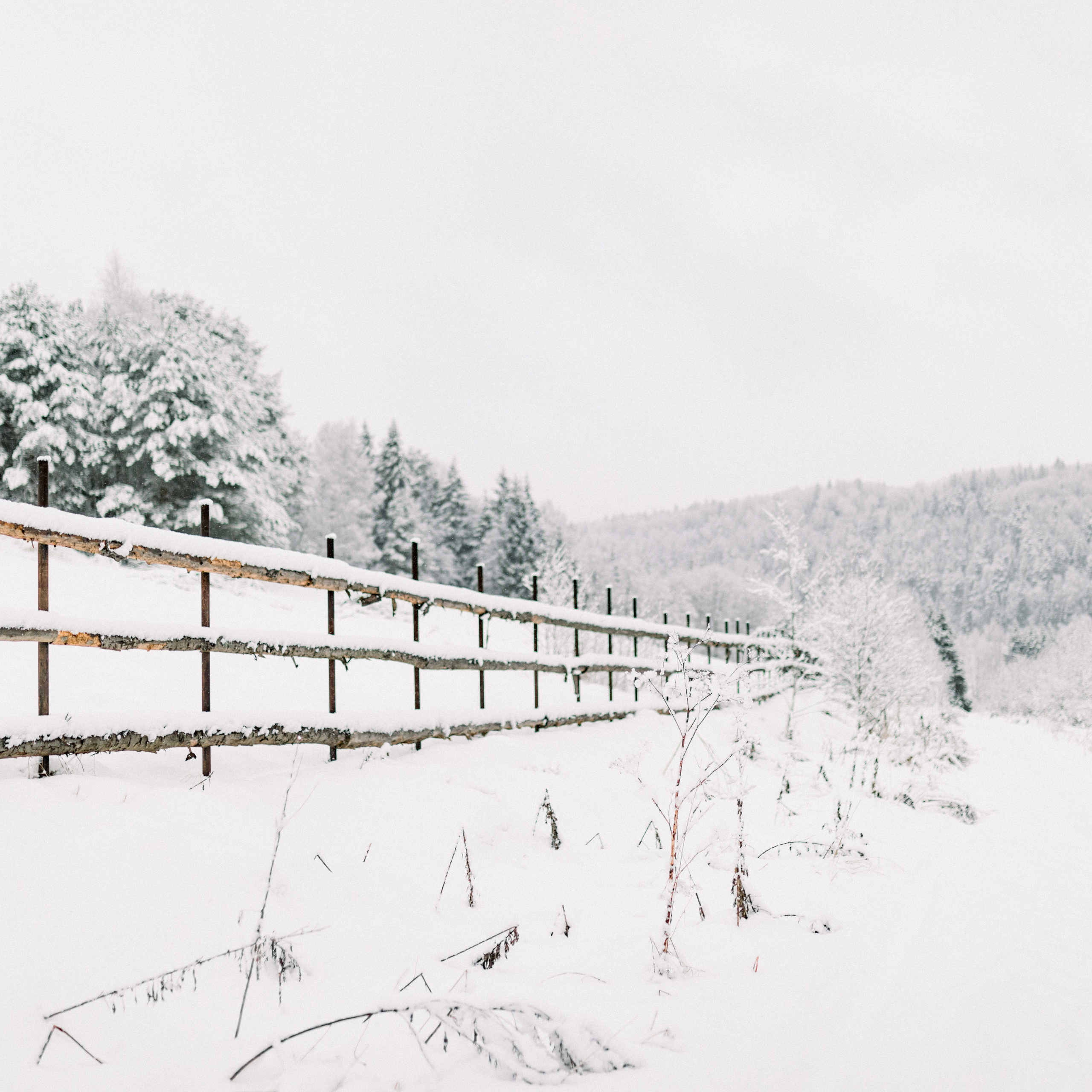 выставка 2025, выставка фотографии, выставка 2026, выставка зимней фотографии, выставка москва, фотовыставка