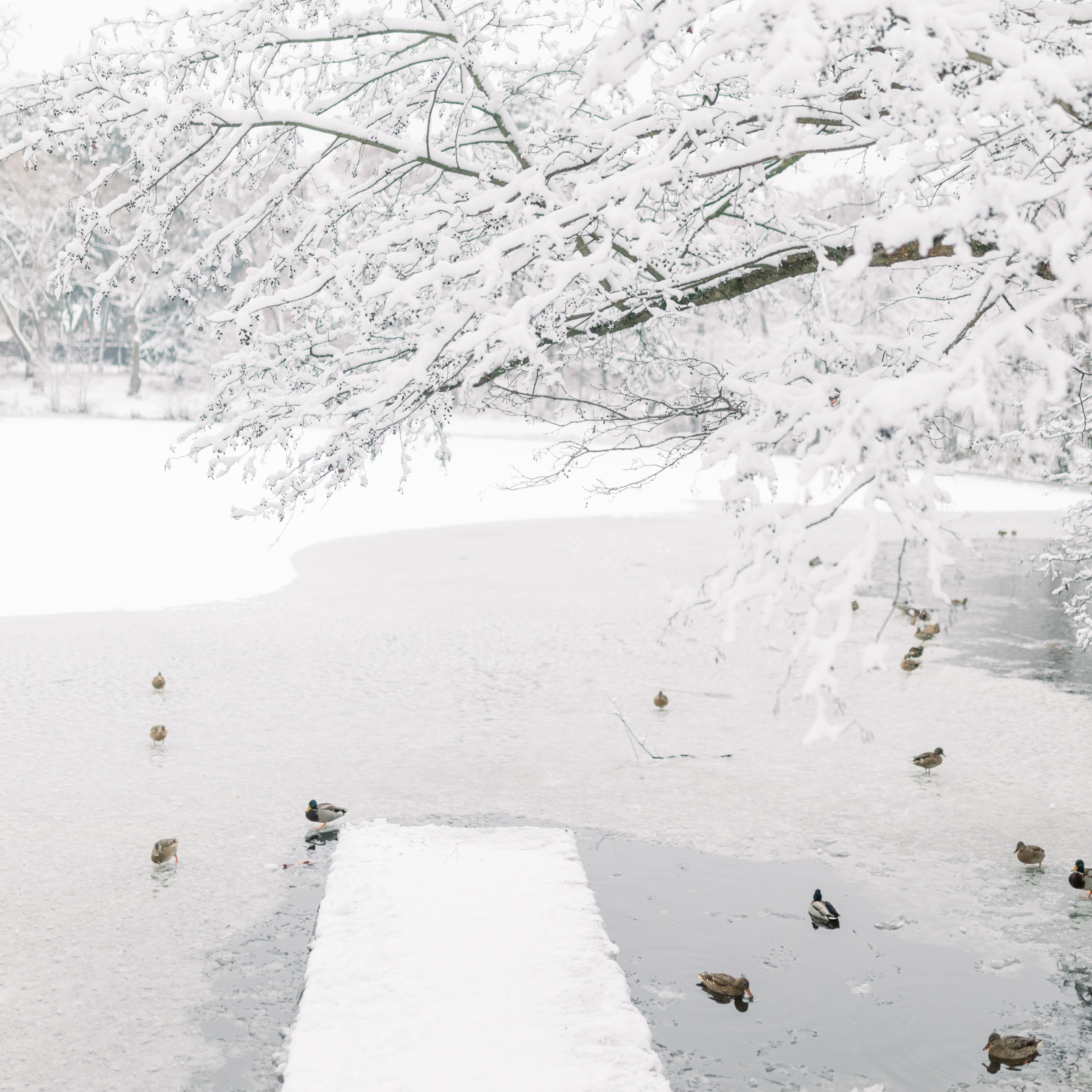 Зимняя семейная фотосессия. Лена Крутова. Фотограф в Москве