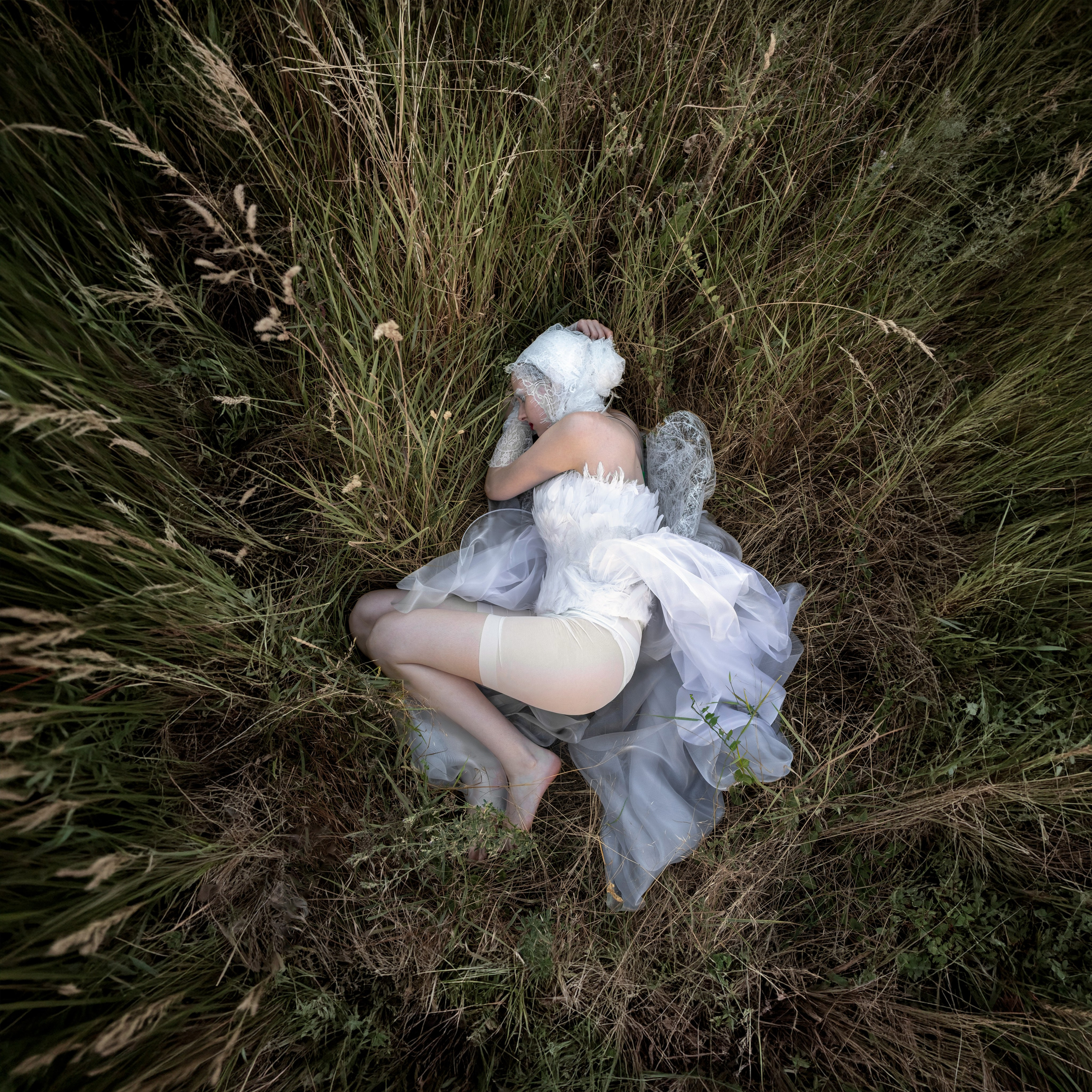 Mixed Media: Fragile. Sia Levine Design