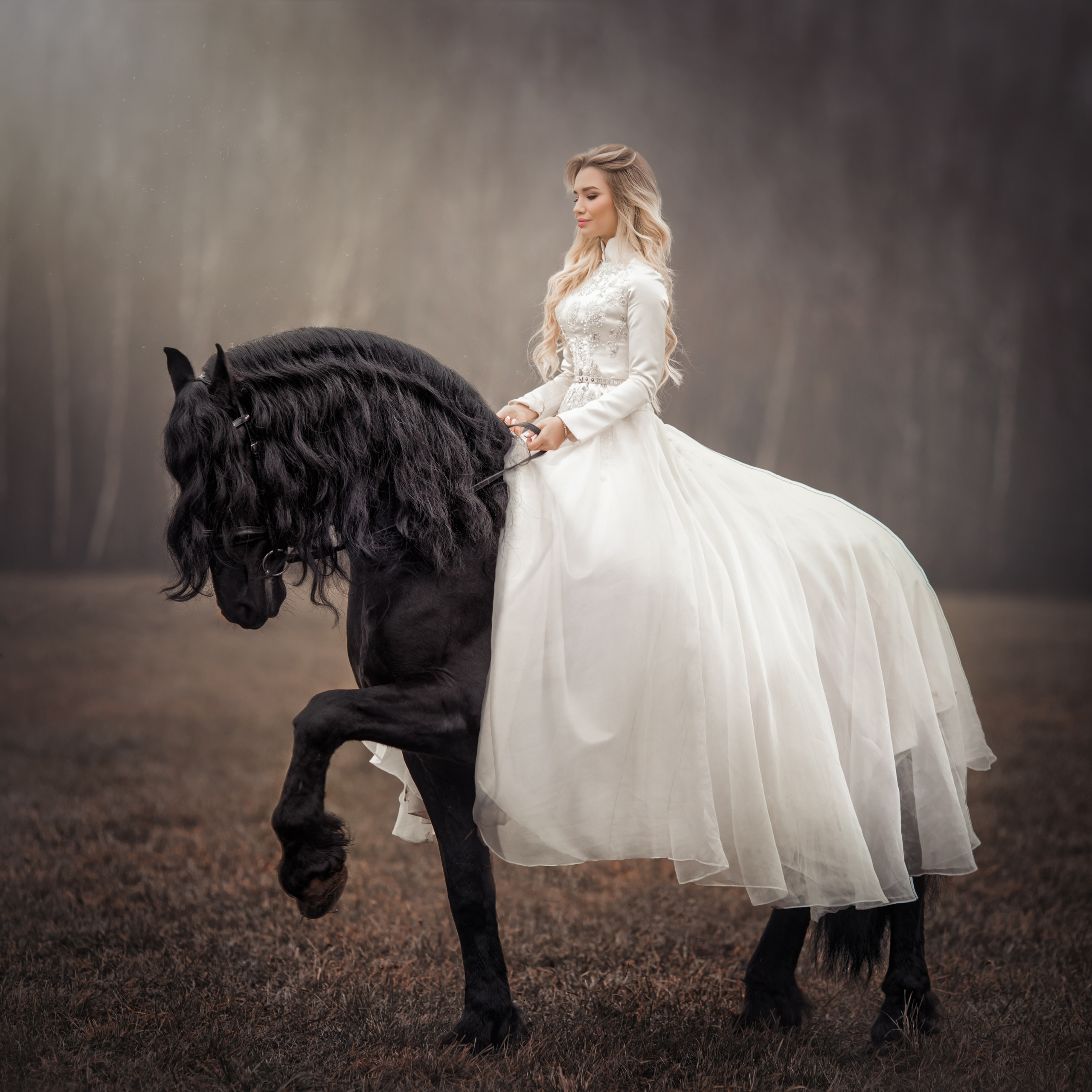 СТОИМОСТЬ УСЛУГ. Фотограф Москва