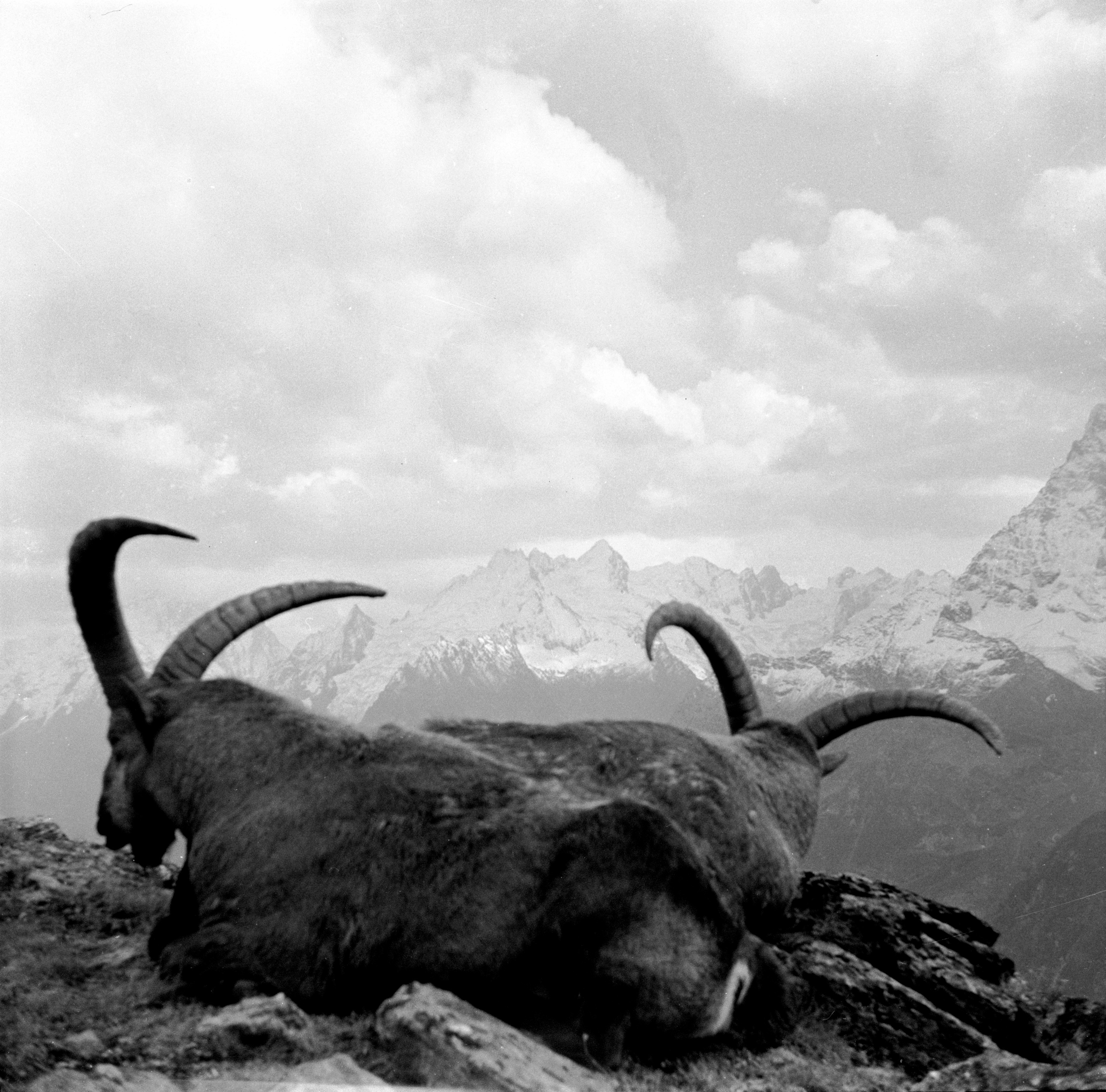 Геннадий Кук. Курортное дело