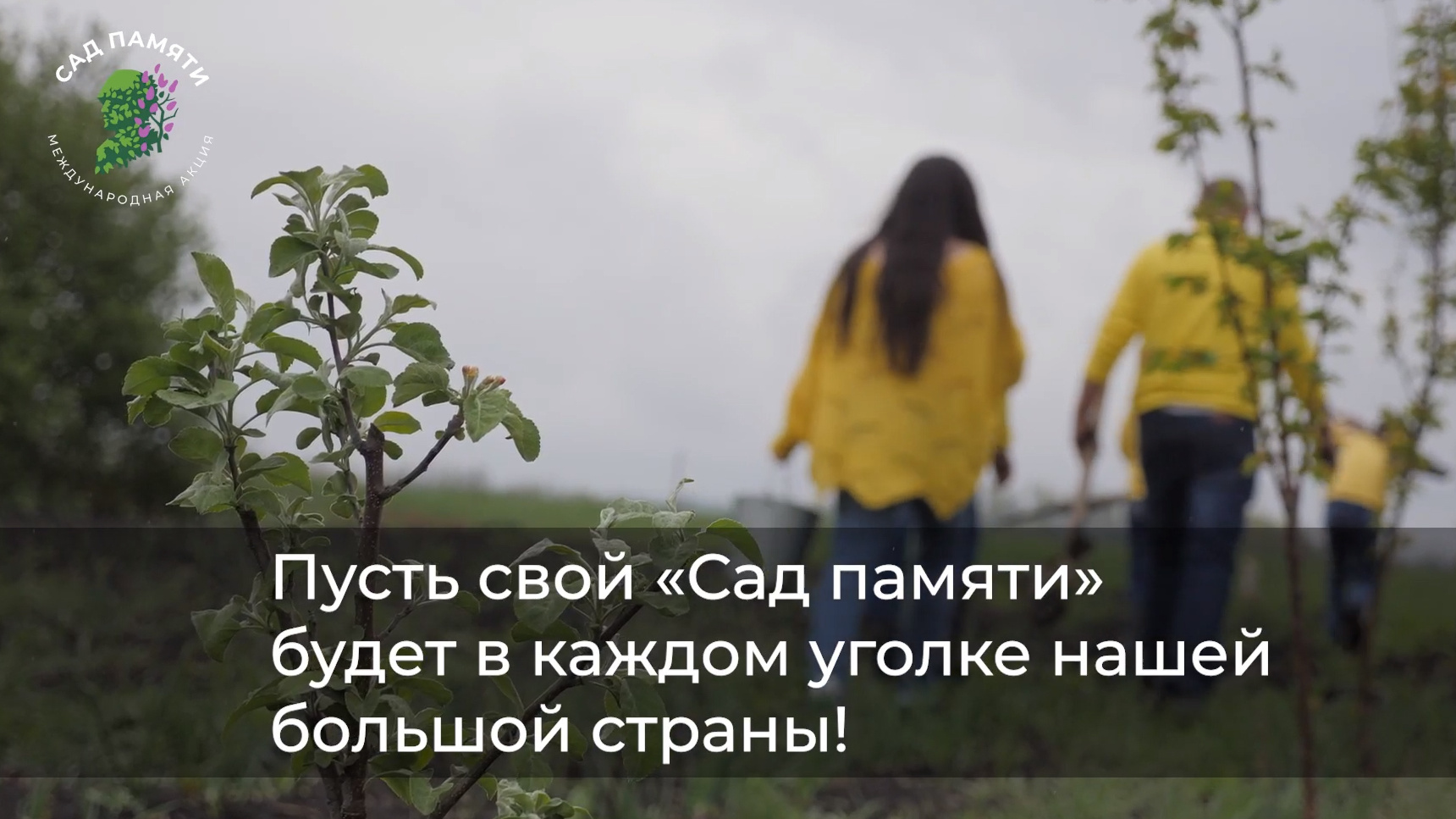 1tv. Видеограф Турчин Денис