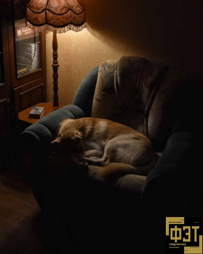 Выбор зрителей 01.03.26