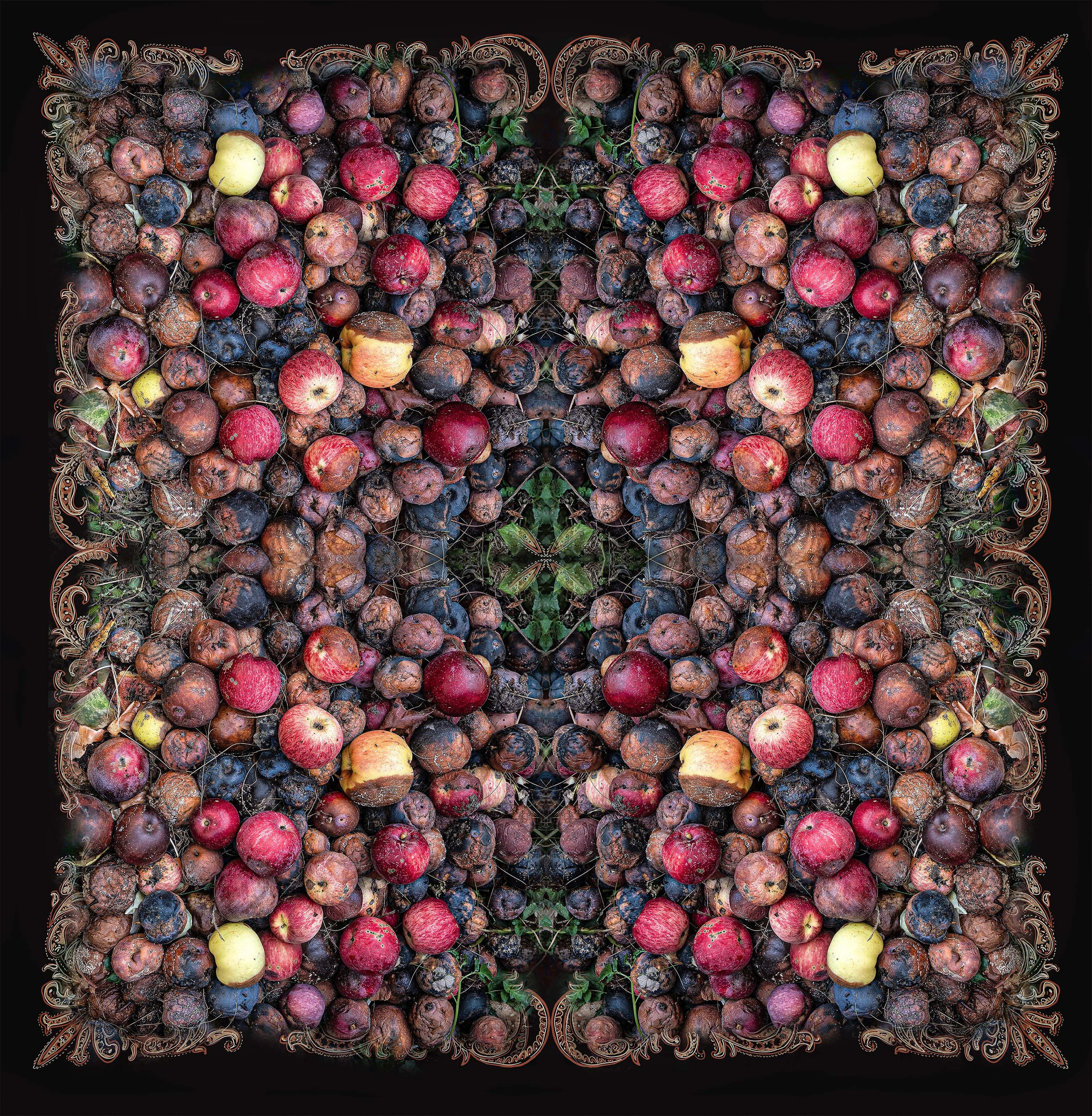 Из проекта Круговорот. Mogilevtseva Daria is a photographer and an interdisciplinary artist