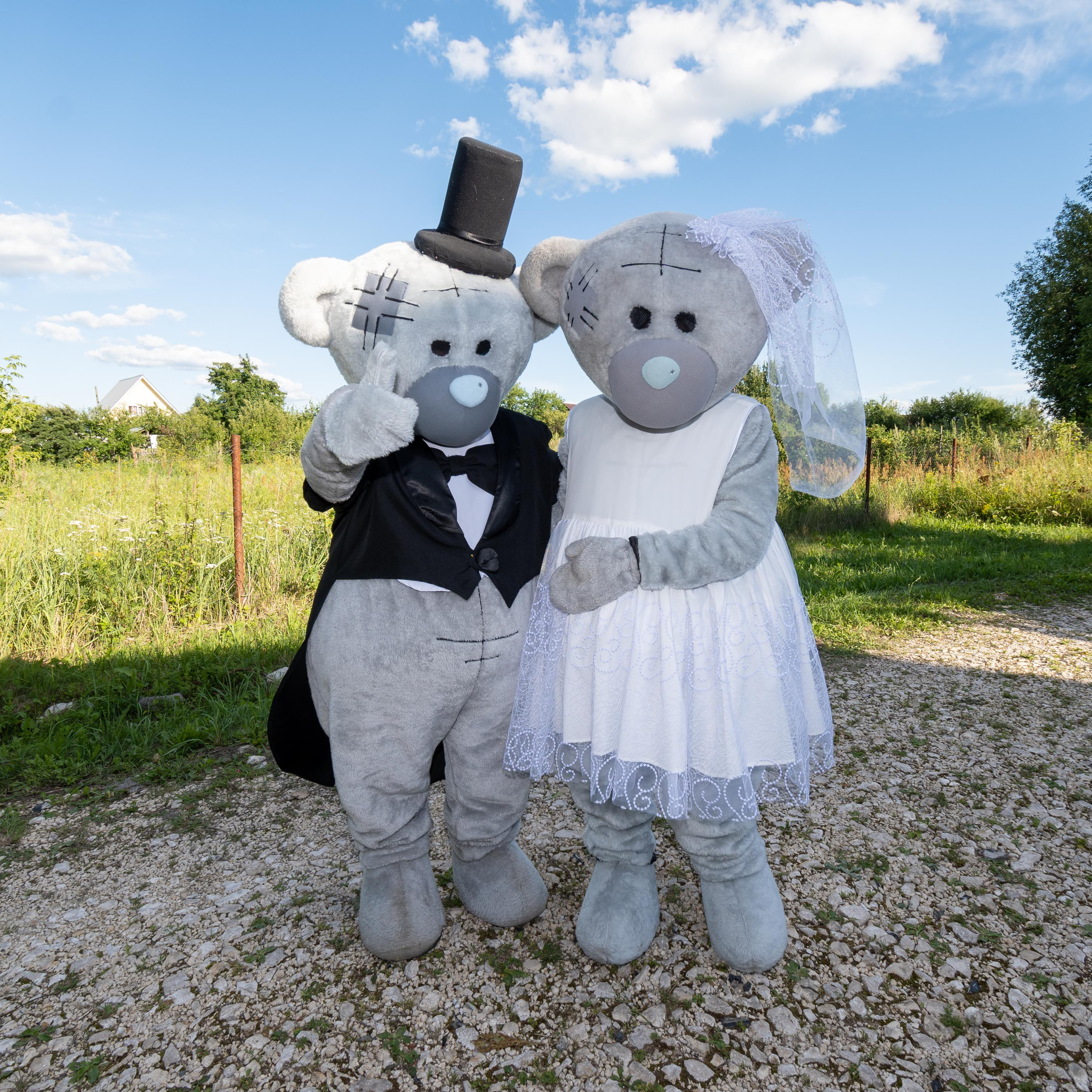 Поздравления от Мишки Тедди в Муроме