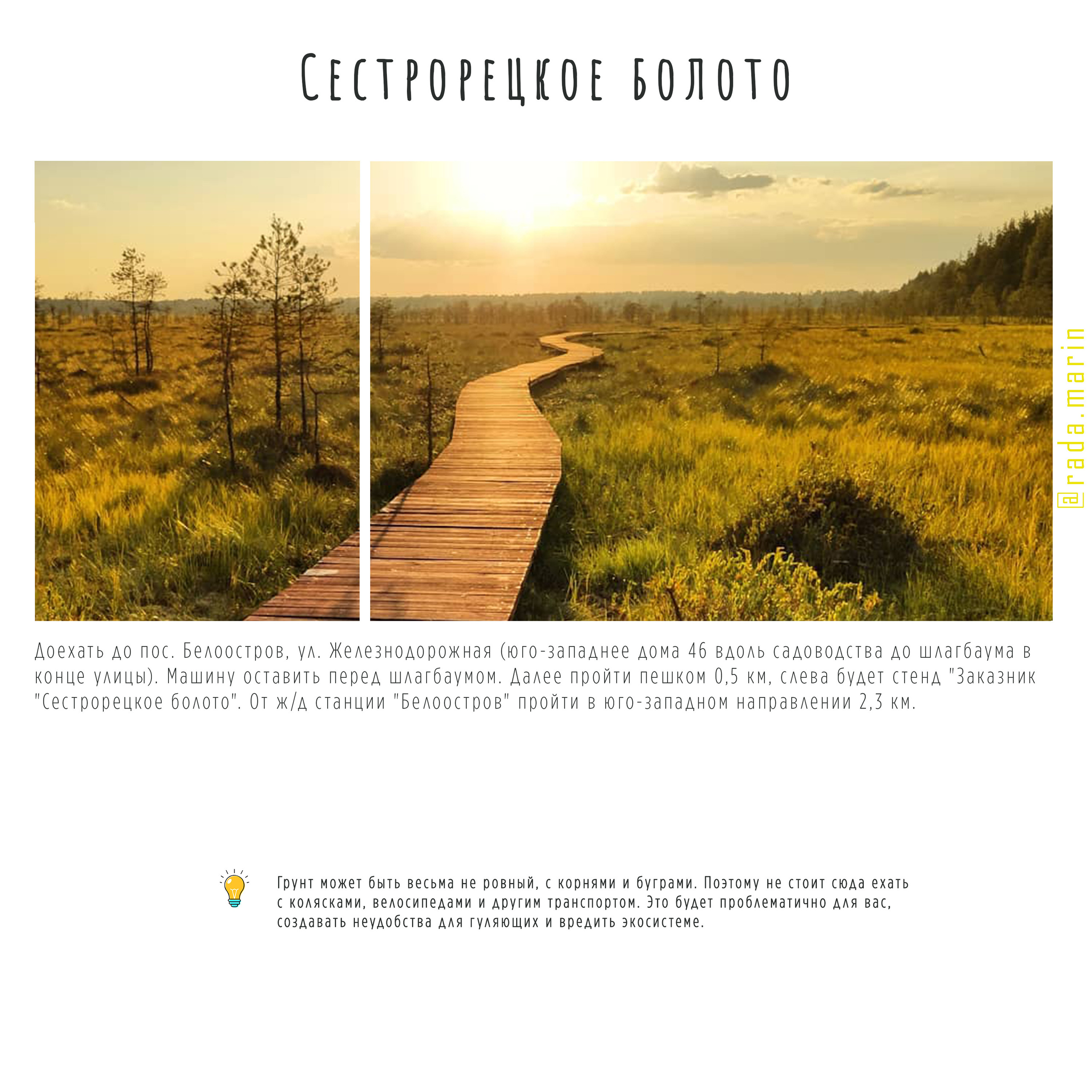 ГАЙД топ мест для сьемки на природе. Фотограф в Петергофе