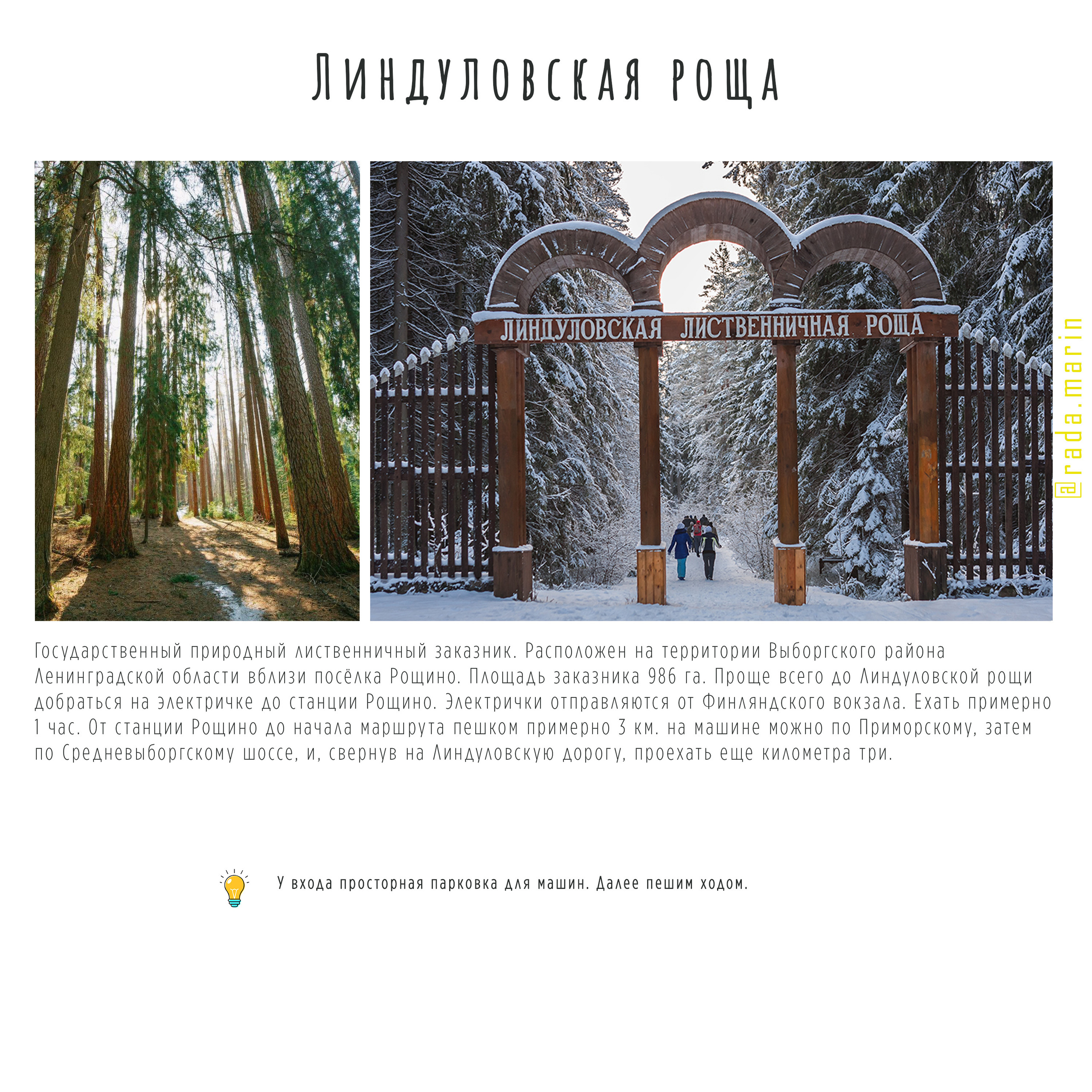 ГАЙД топ мест для сьемки на природе. Фотограф в Петергофе