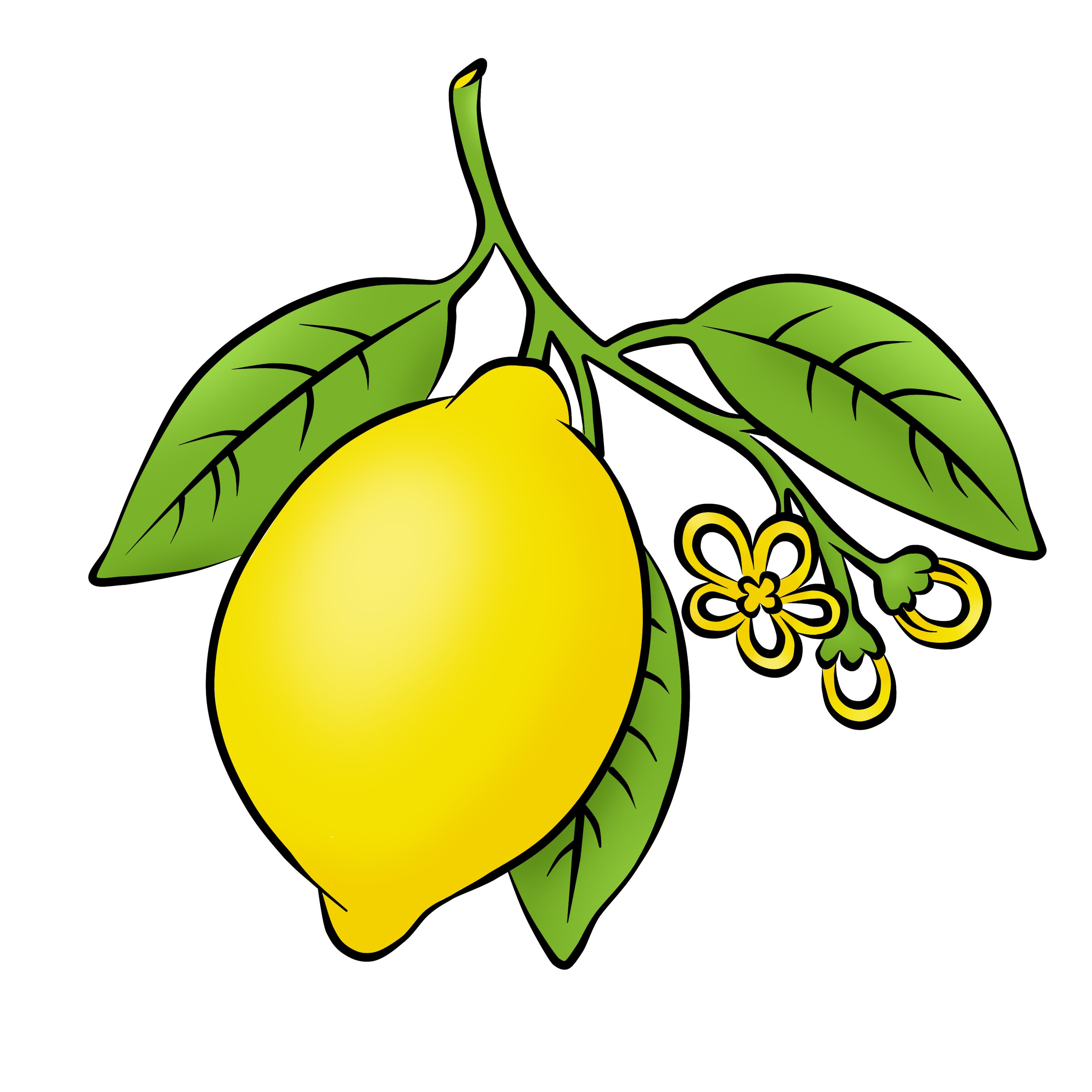 Цены, отражающие качество. Fine Art & Fashion фотограф в Москве Тягушова Юлия