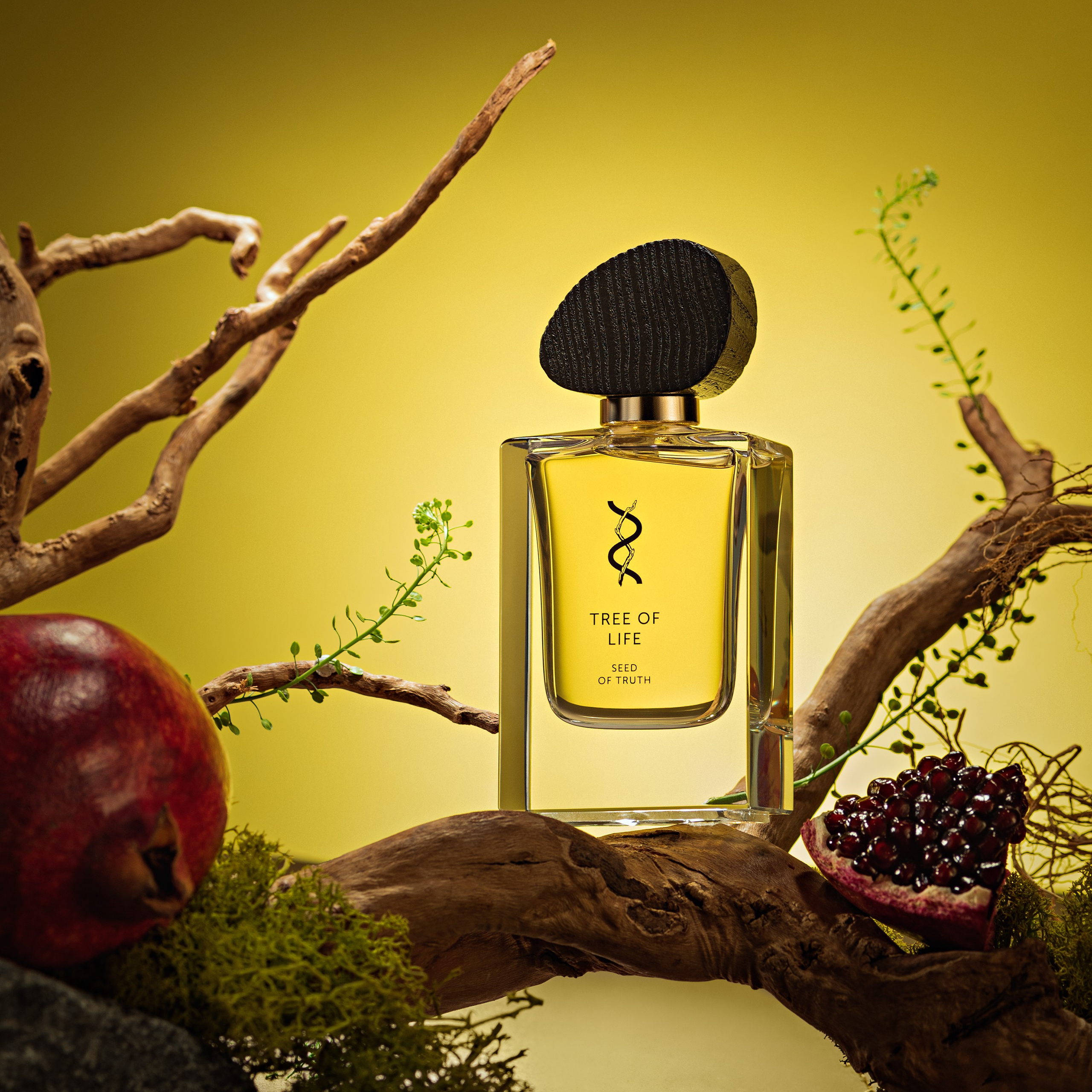 Асель Рембекова