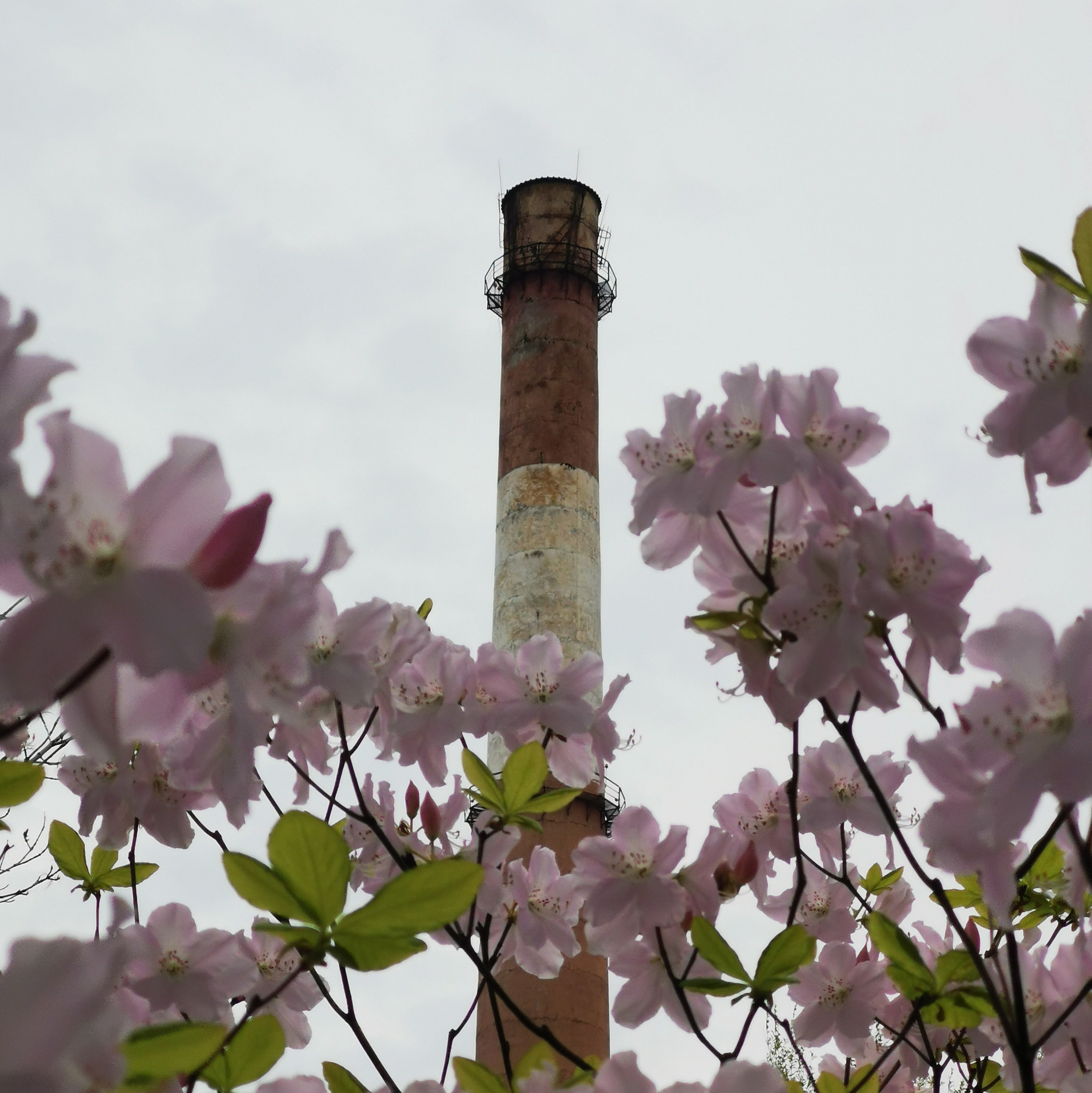 Композиция в фотографии