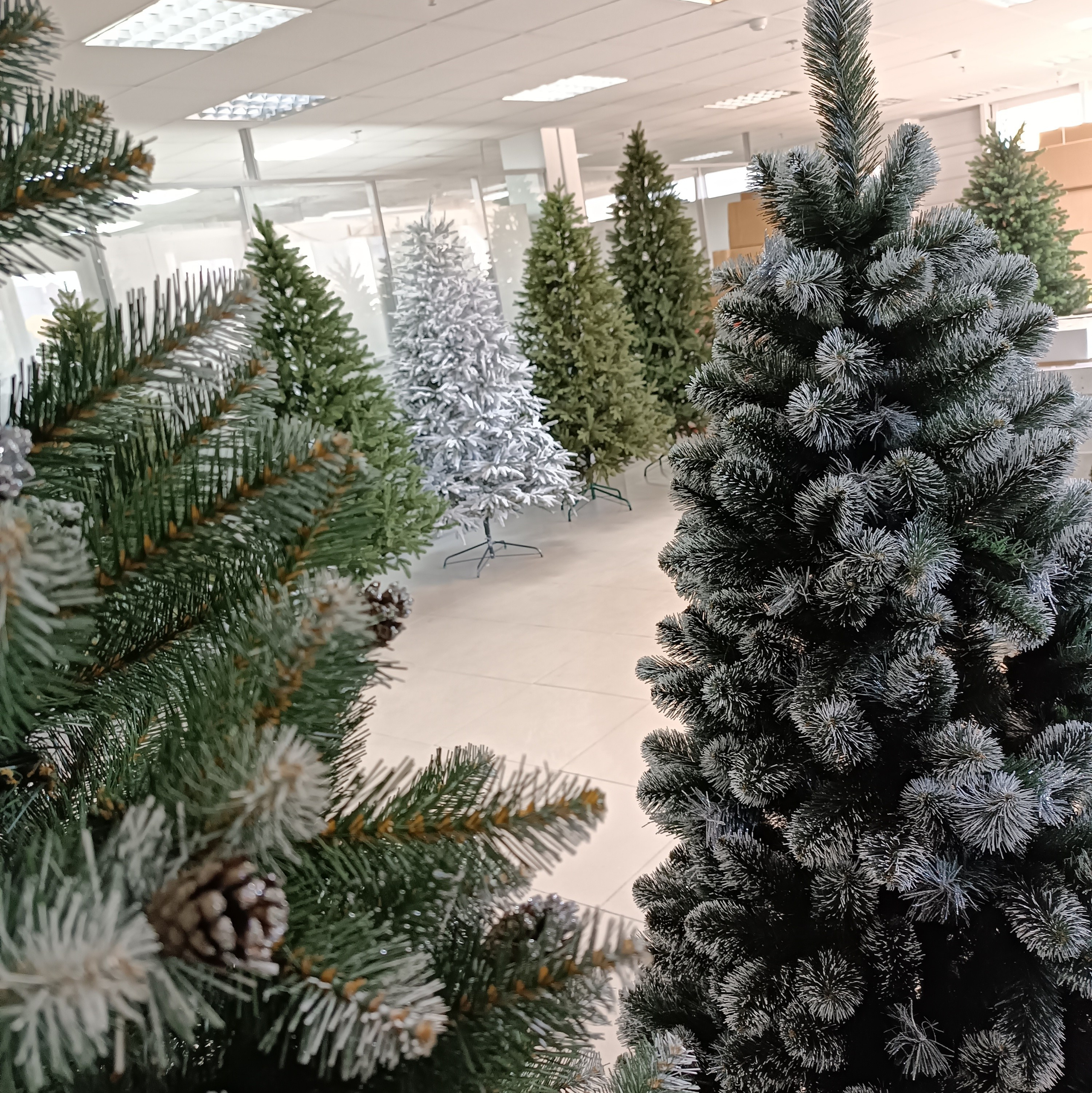 Контакты. Elki_grodno