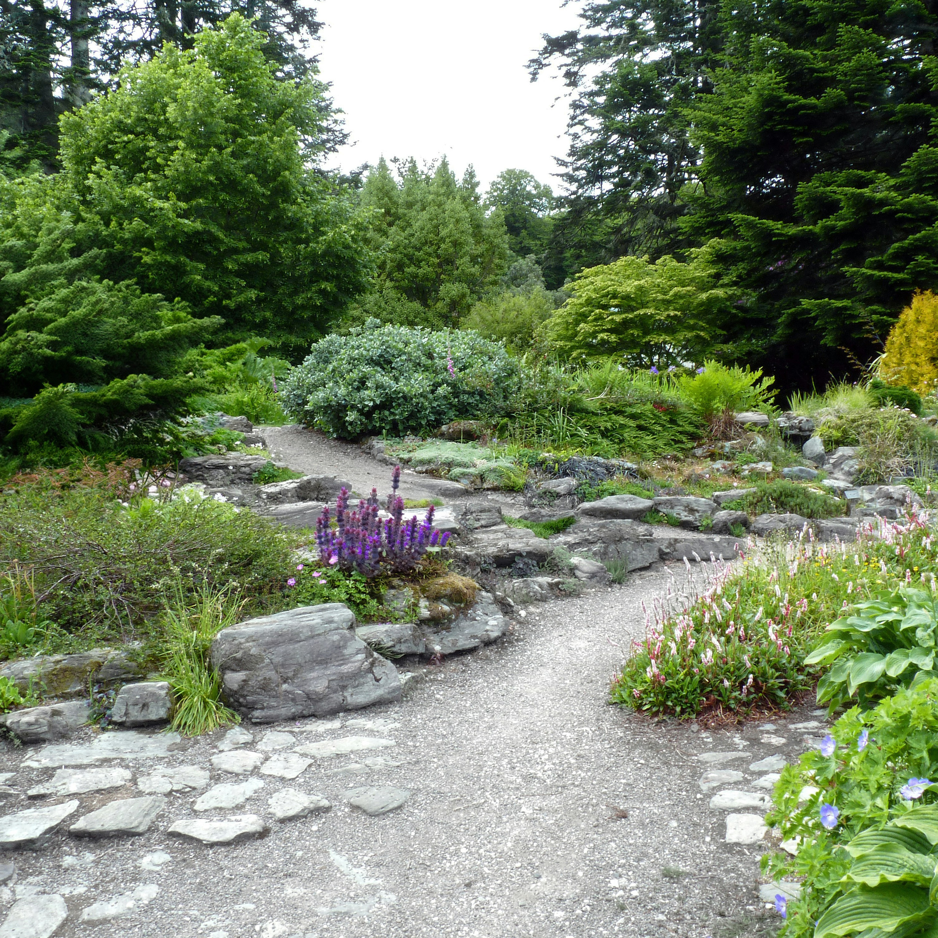 Студия цветов в Санкт-Петербурге Ирины Гуриной