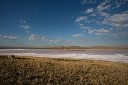 Полезные ссылки. Классический Выпускной Альбом