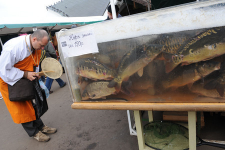 Репортаж. Профессиональный фотограф в Крыму и Севастополе Павел Корсун