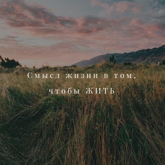 Услуги психолога — индивидуальные и семейные сессии. Психологи Алекс и Евгения Дубровские| Онлайн и в Москве