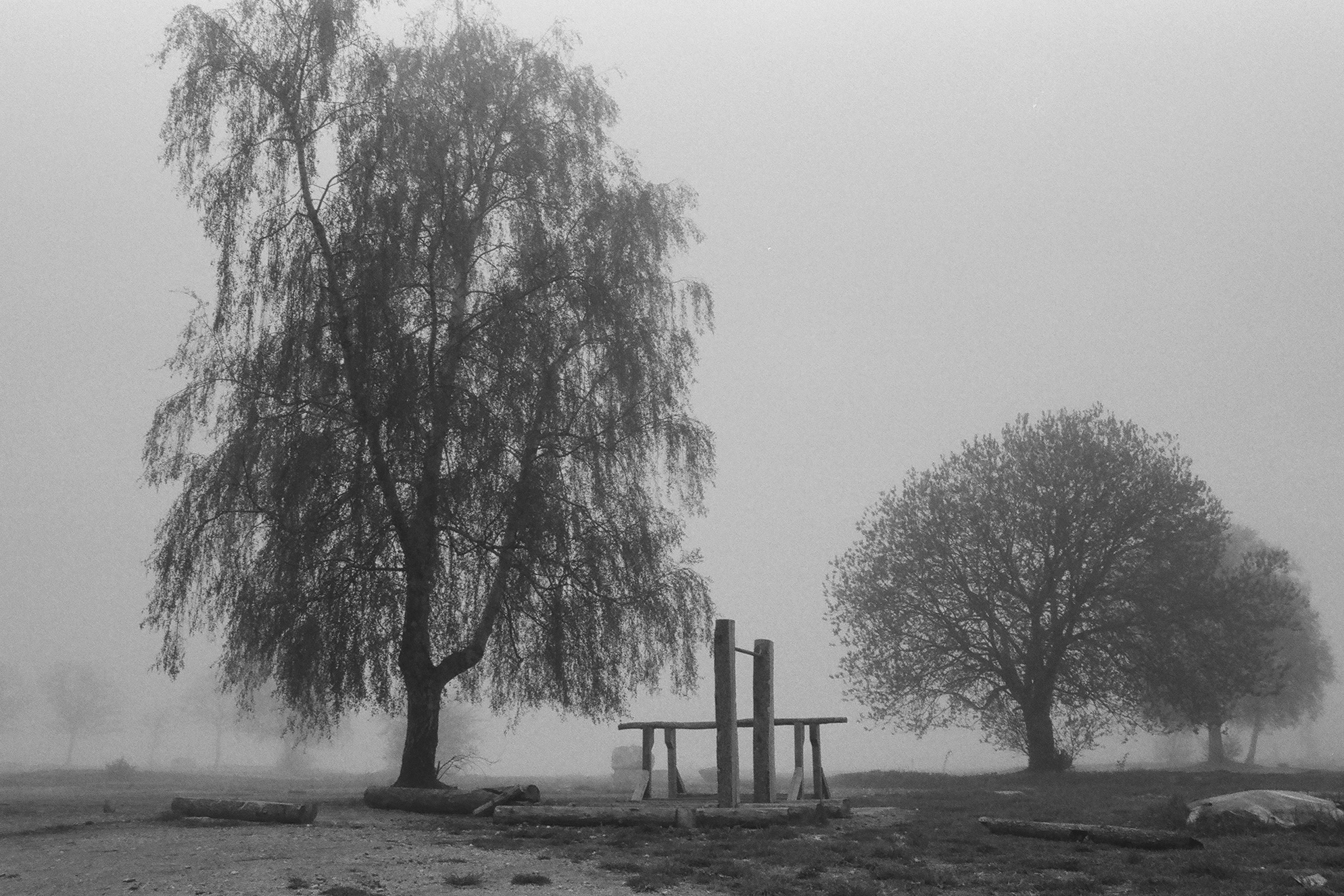 Мастер-класс по проявке плёнки. Полина Сойреф, портретный и документальный фотограф