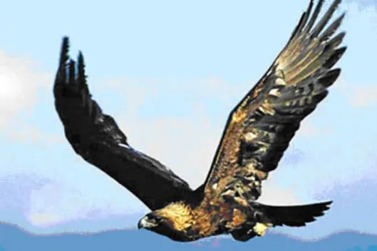 Турбаза на Хубсугуле «Серебряный берег»