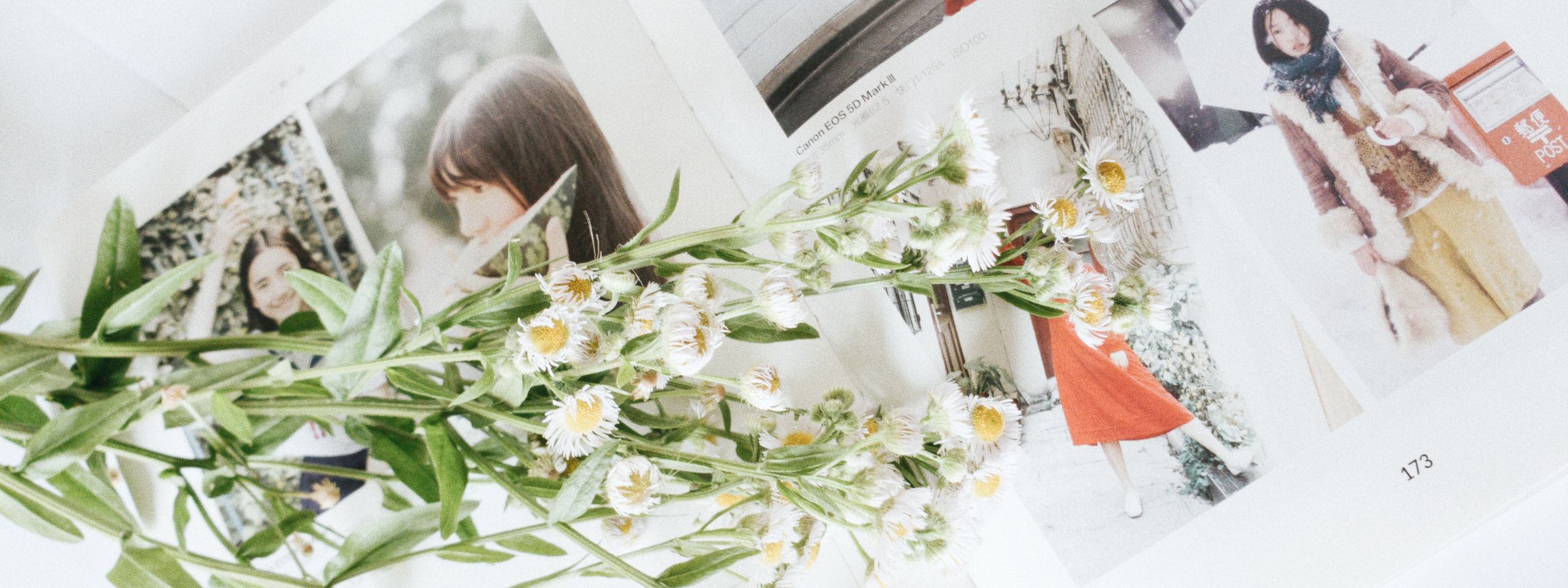 Старшая школа. Дизайн фотокниг и выпускных альбомов Красноярск