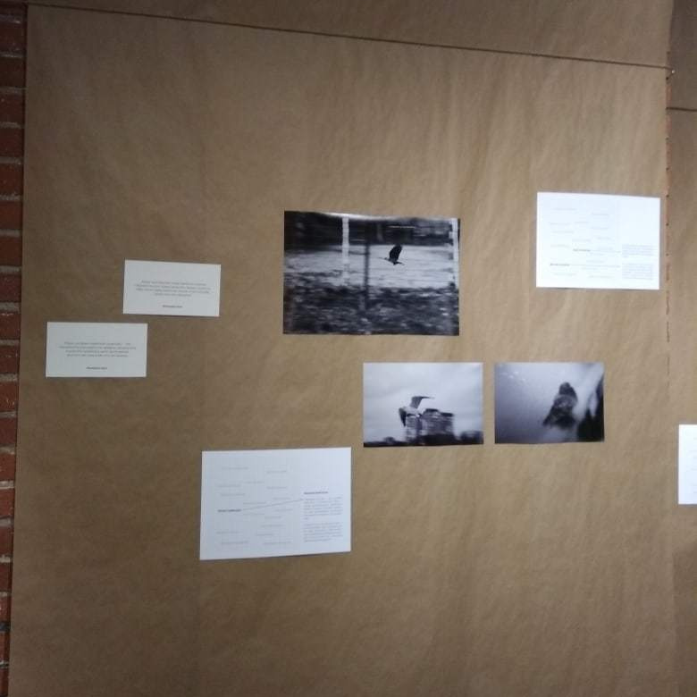 Выставка «Открытая мастерская знания». Julia Gorbunova