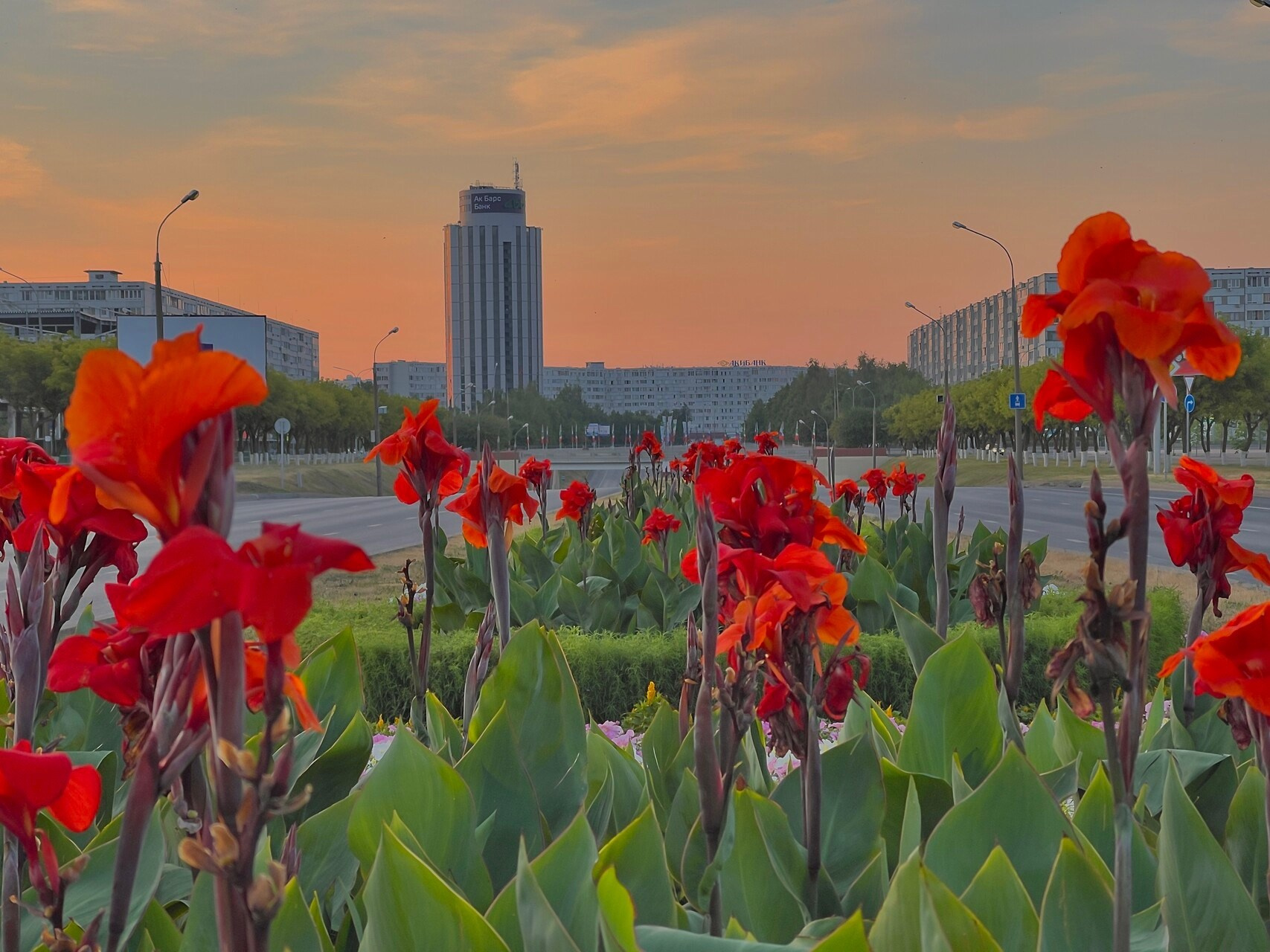 Выпускные альбомы в Набережных Челнах