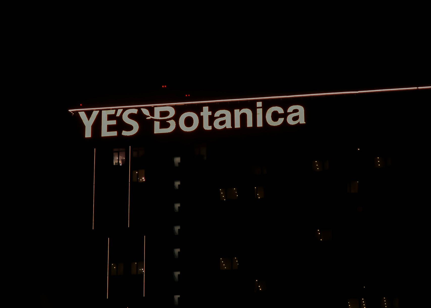 Зимняя фотопрогулка: м. Ботанический сад + частичка парка Яуза. Проект «Фотокладовка»: блог уличной фотографии в формате street photo