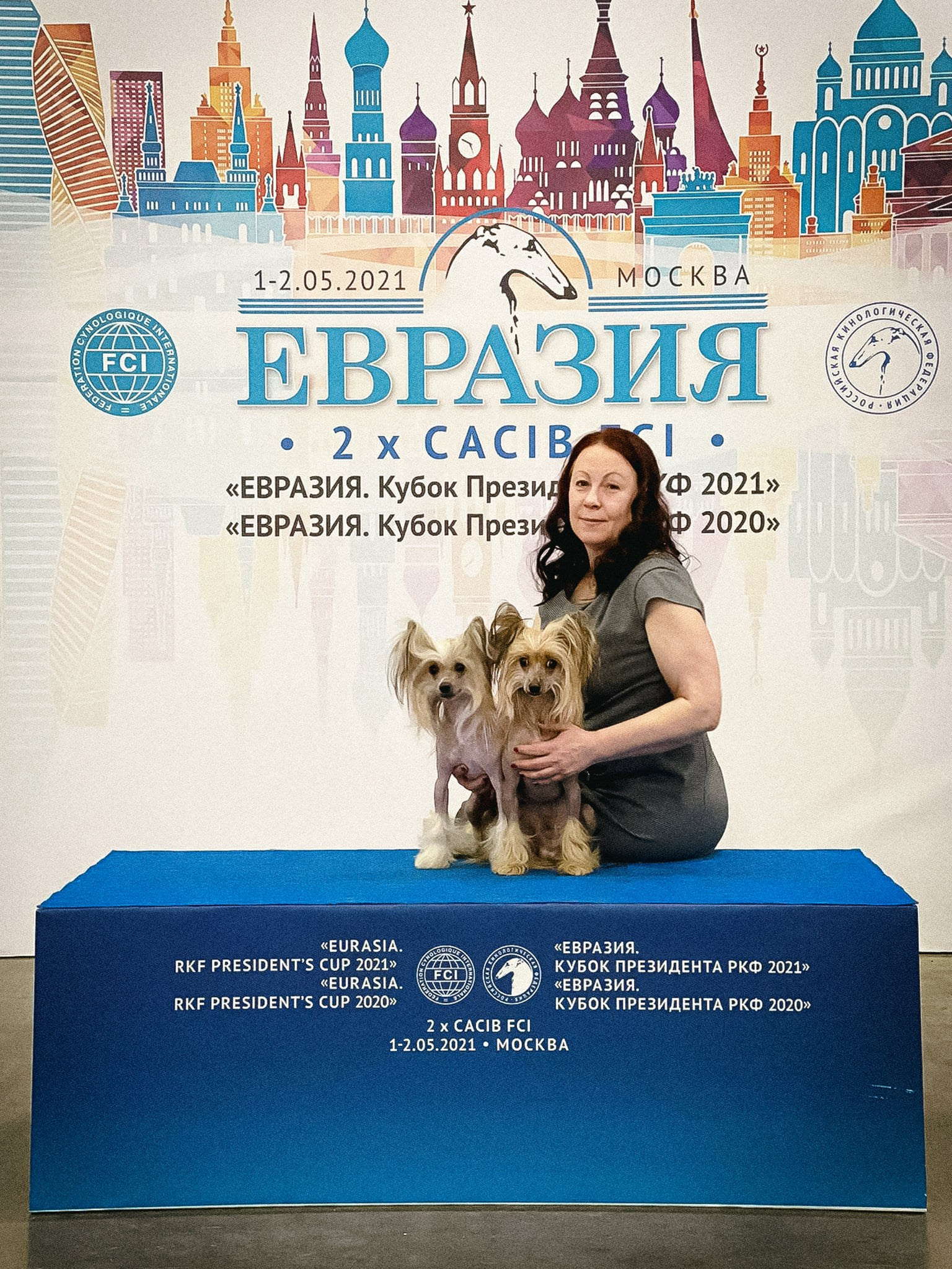 Москва, «Евразия. Кубок президента РКФ 2020». Питомник китайских хохлатых собак Poale Ell: купить щенка в питомнике