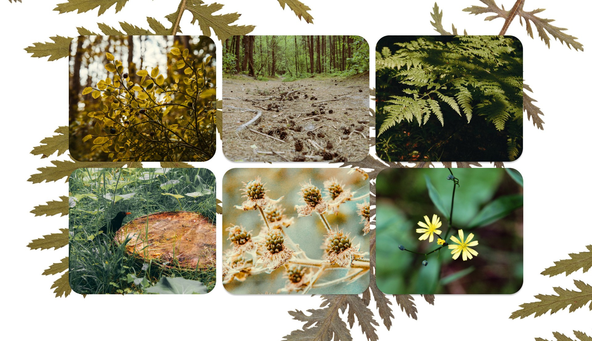 Калининград 1. Фотограф из Москвы — DASHA NOVA | Авторская фотография в разных жанрах