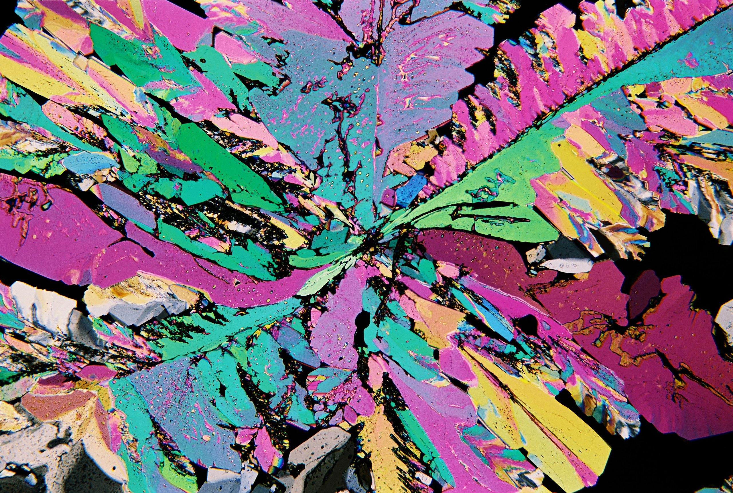 Projects. Philipp Yelistratov