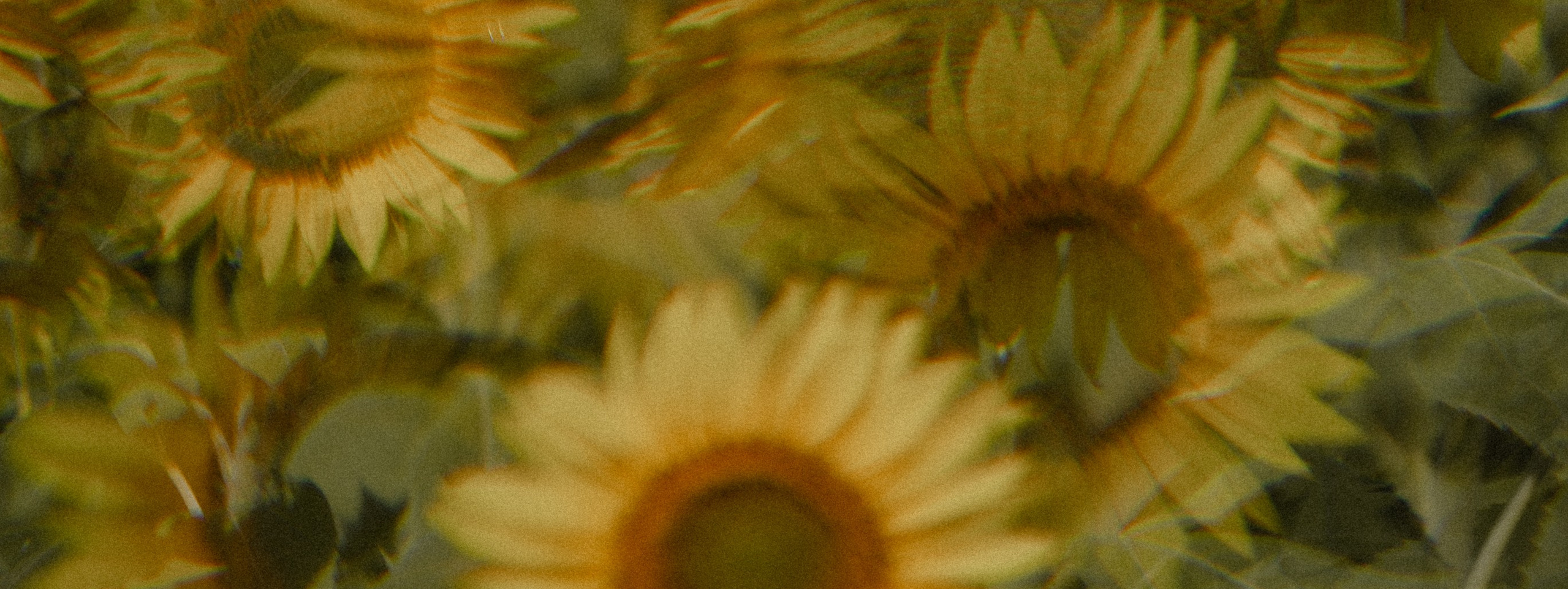 Как я перестала жить завтрашним днём и выбрала себя. Фотограф в Новосибирске Екатерина Васильева