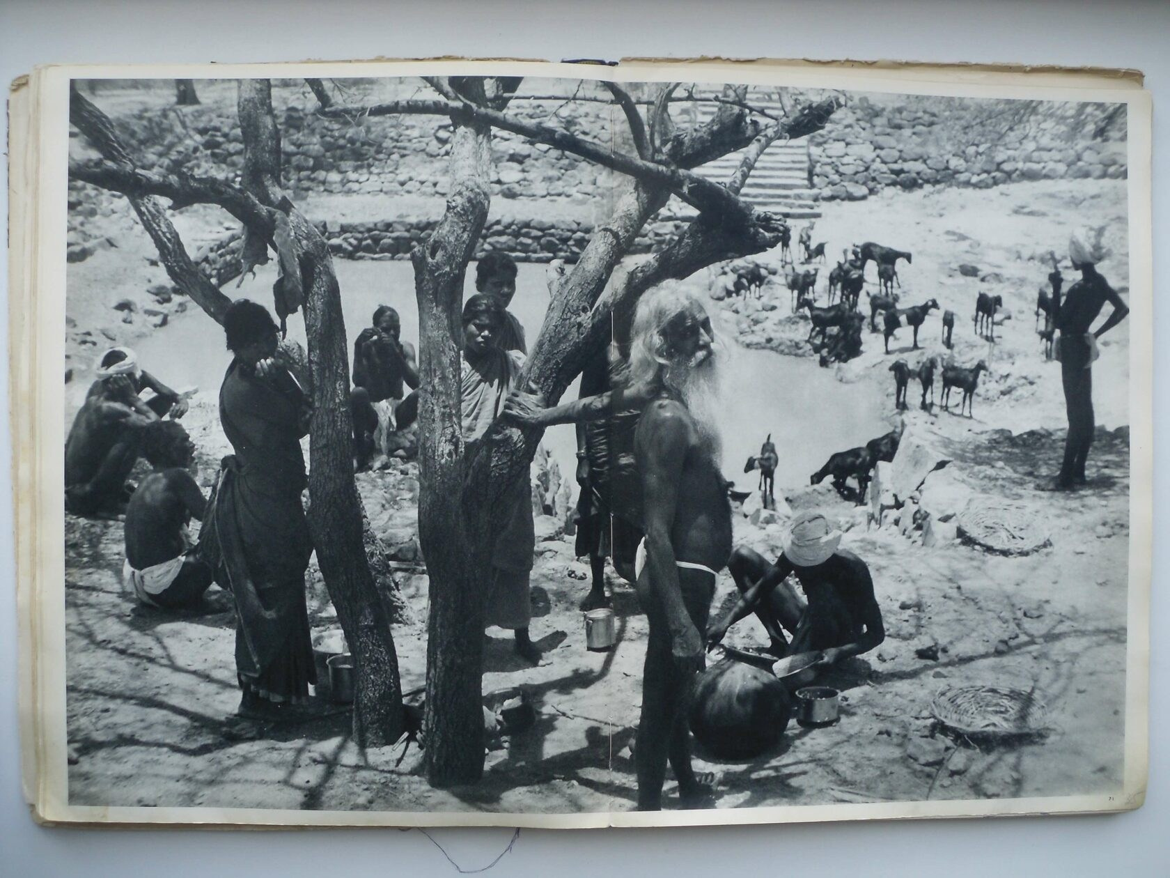 Анри Картье-Брессон — биография и альбомы известного фотографа. ТУРМАЛИН ТАНЯ ЖЕНСКИЙ ФОТОГРАФ В МОСКВЕ