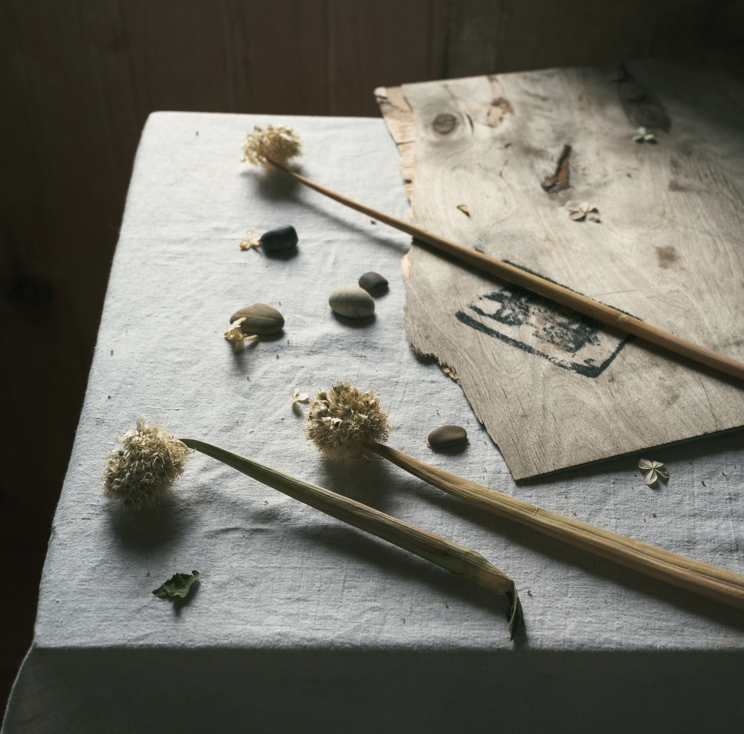 Зимнее дачное. Фотограф Елена Хазина, Рязань