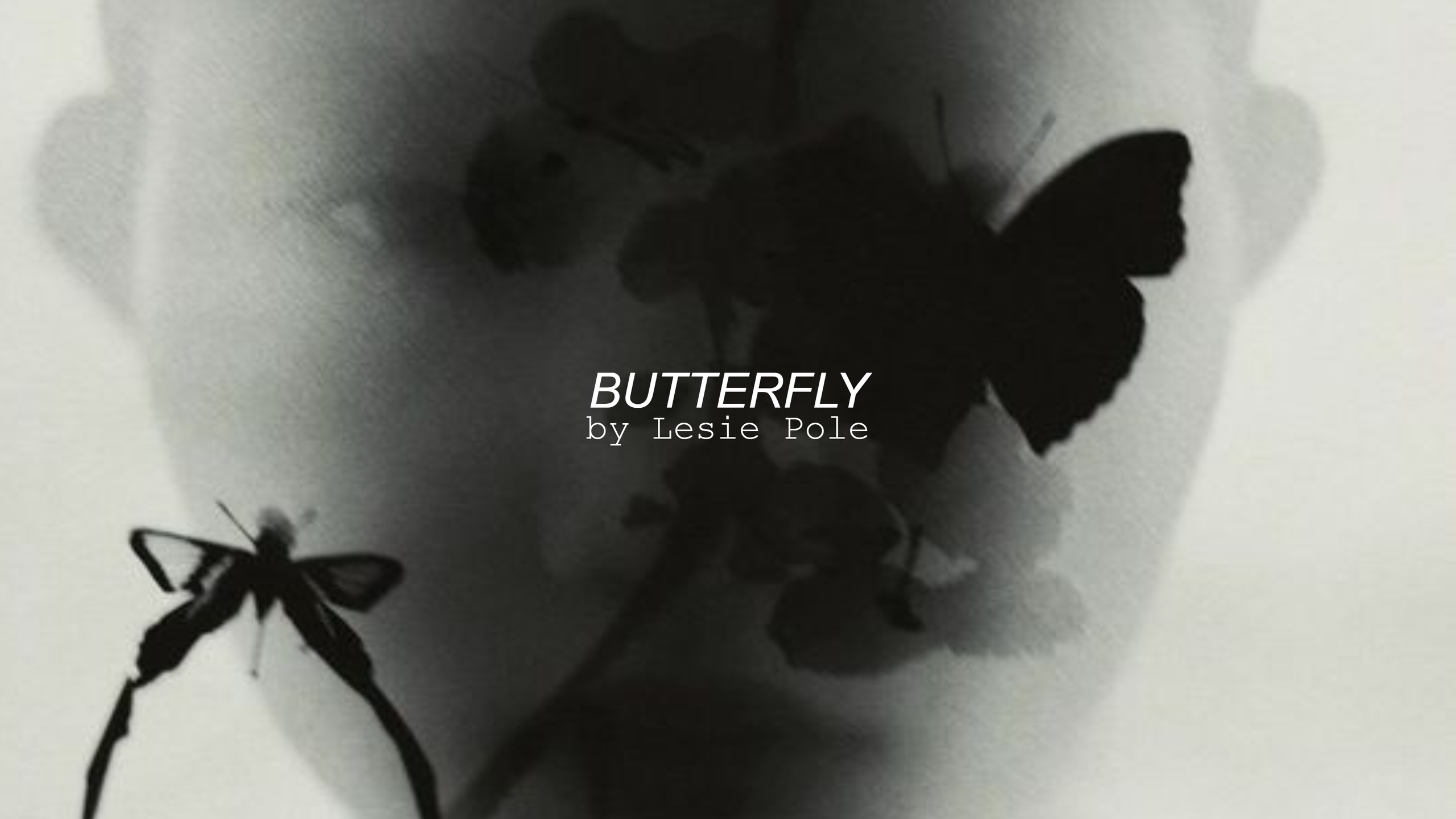 Что такое концепция и почему она важна для каждой съемки (почти). Портретный и fashion-фотограф в Санкт-Петербурге Олеся Поле