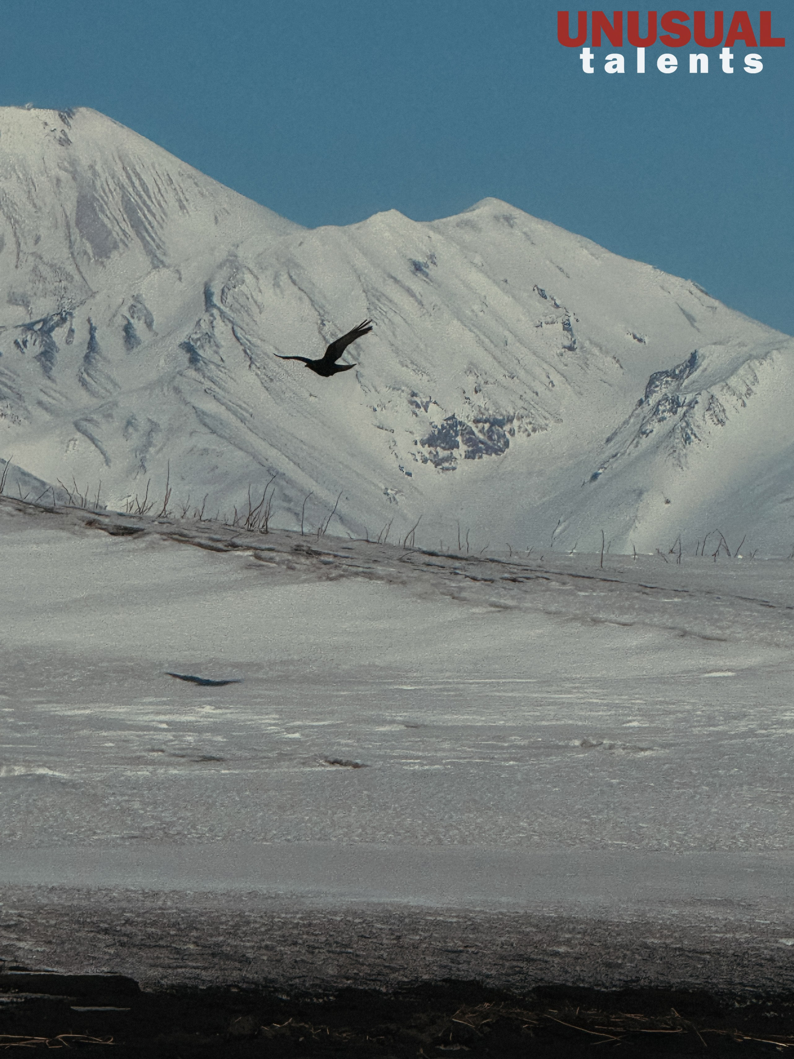 Elena Chubarova. UNUSUAL TALENT magazine