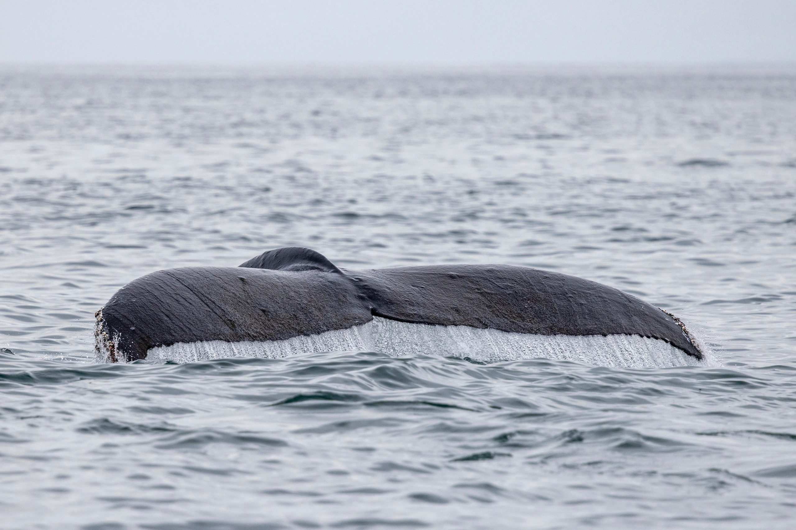 Камчатка + Сахалин — экспедиция в два региона за одну поездку. Время Камчатки: чтобы найти свой путь, нужно скорость умножить на время