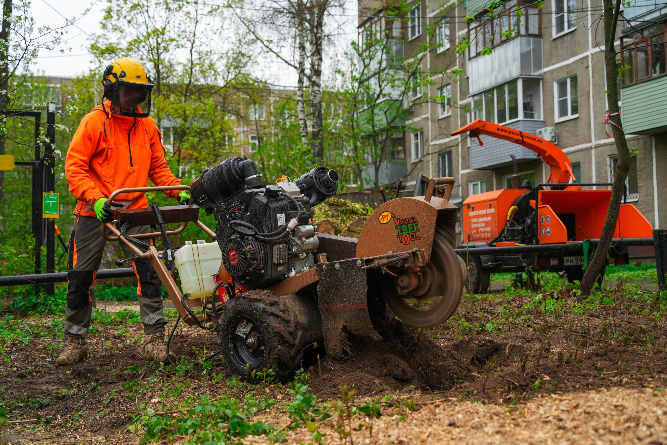 Арбористы за работой. Спортивный и репортажный фотограф в Иваново Сергей Силкин