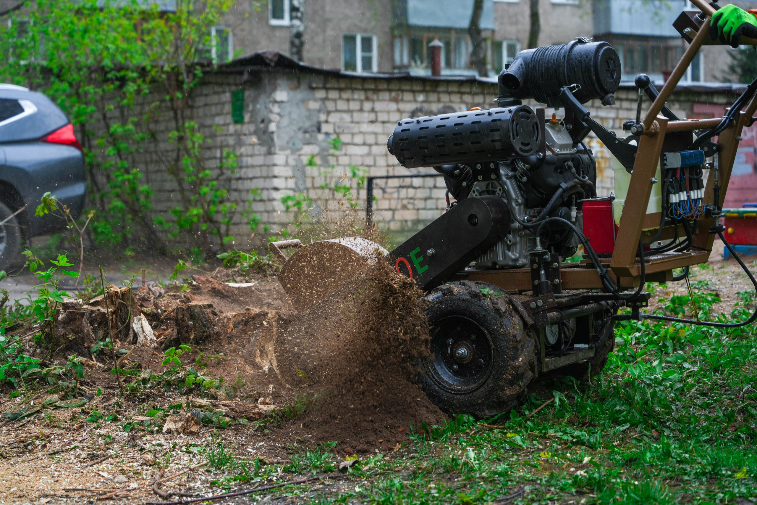 Арбористы за работой. Спортивный и репортажный фотограф в Иваново Сергей Силкин
